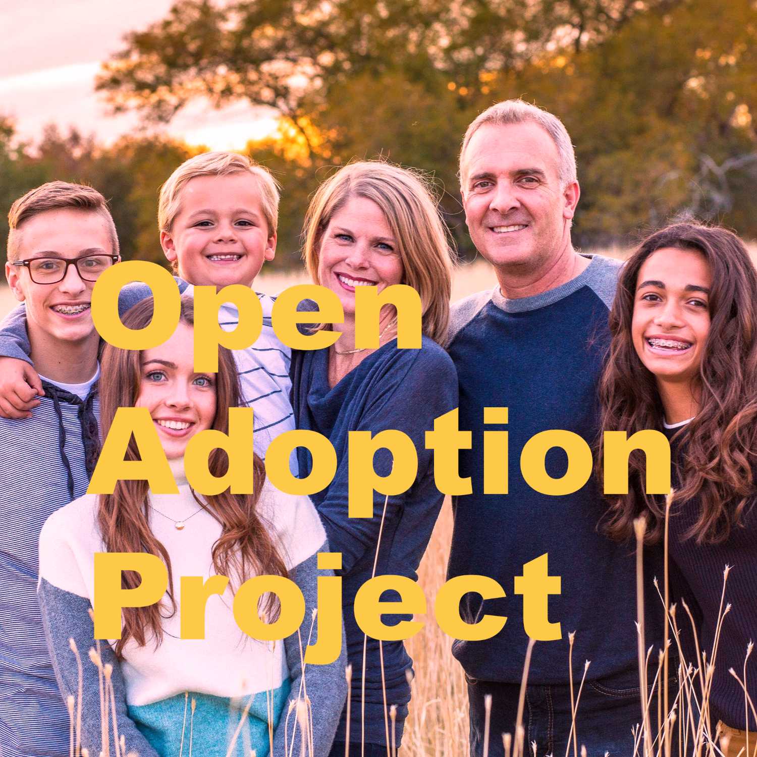Open Adoption Project