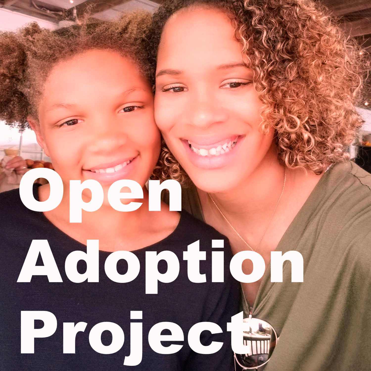 Open Adoption Project