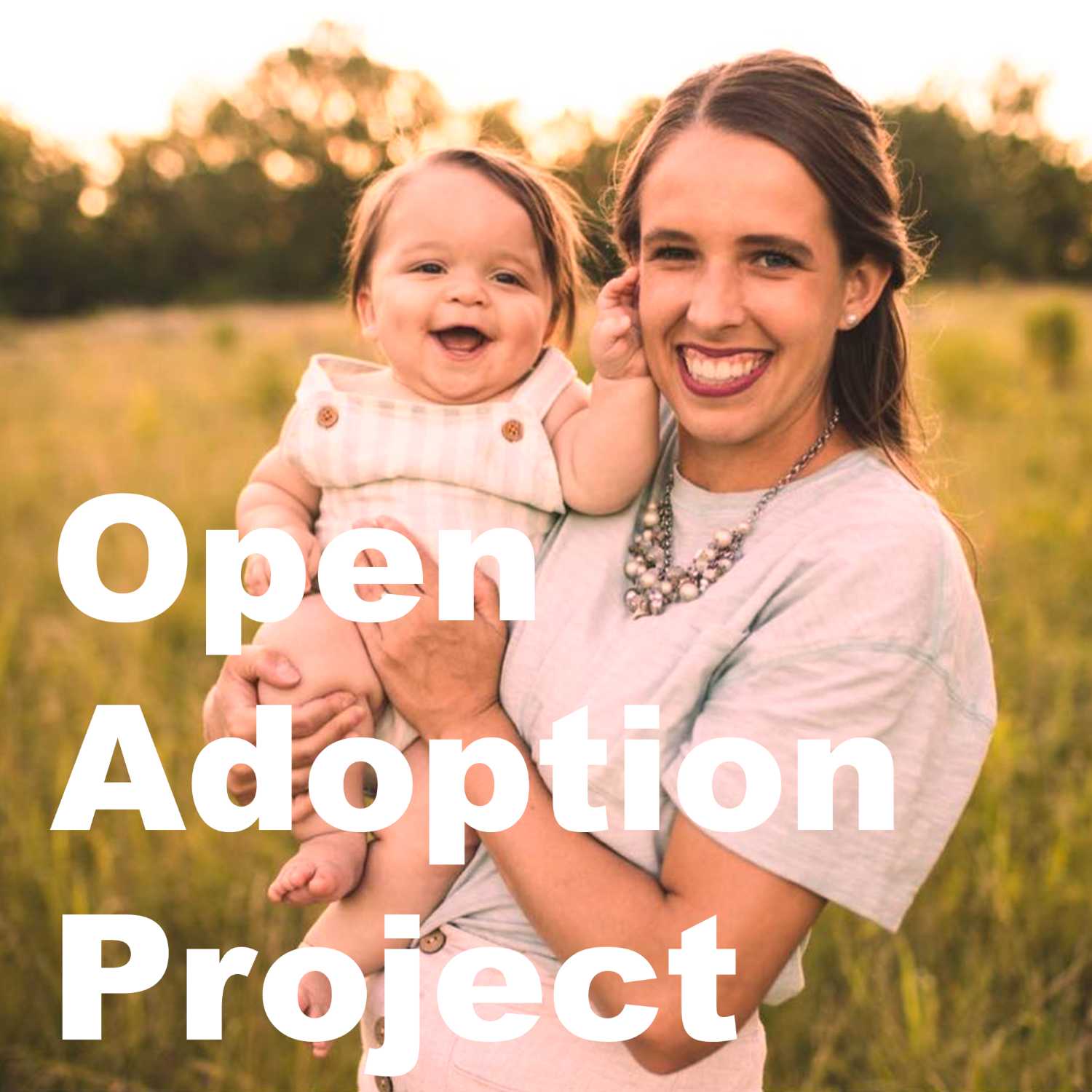 Open Adoption Project