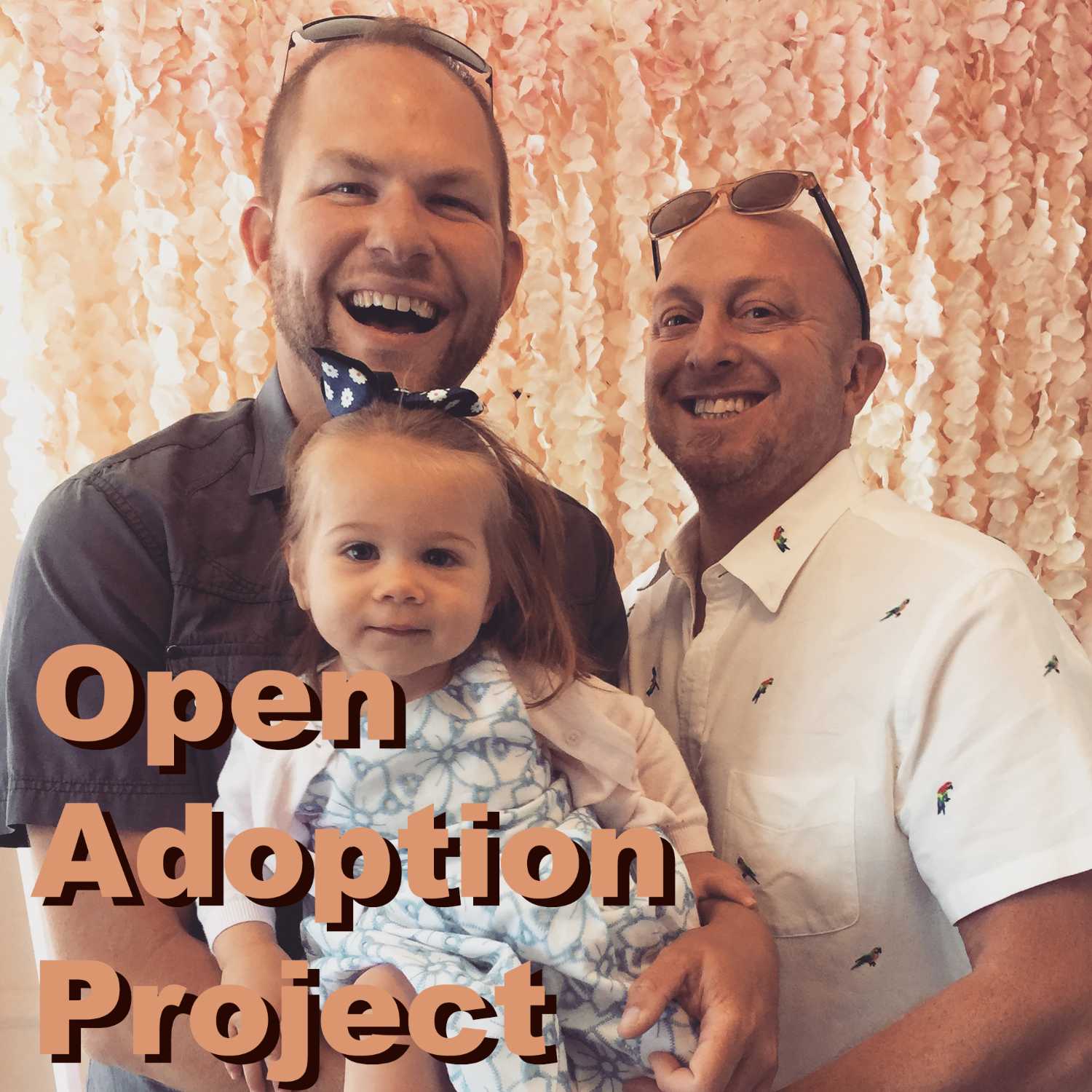 Open Adoption Project