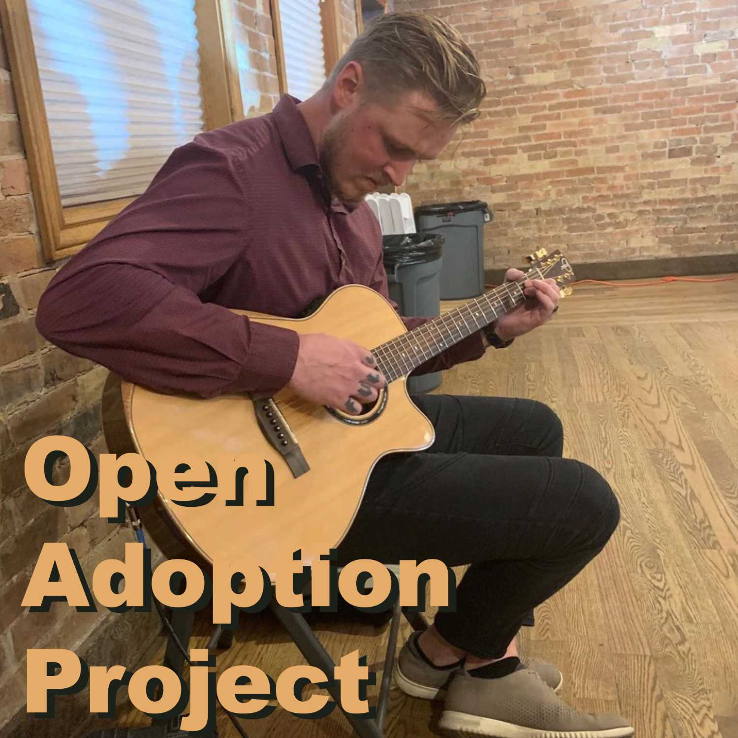 Open Adoption Project