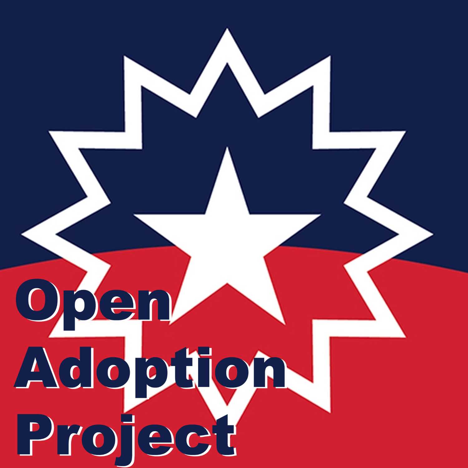 Open Adoption Project