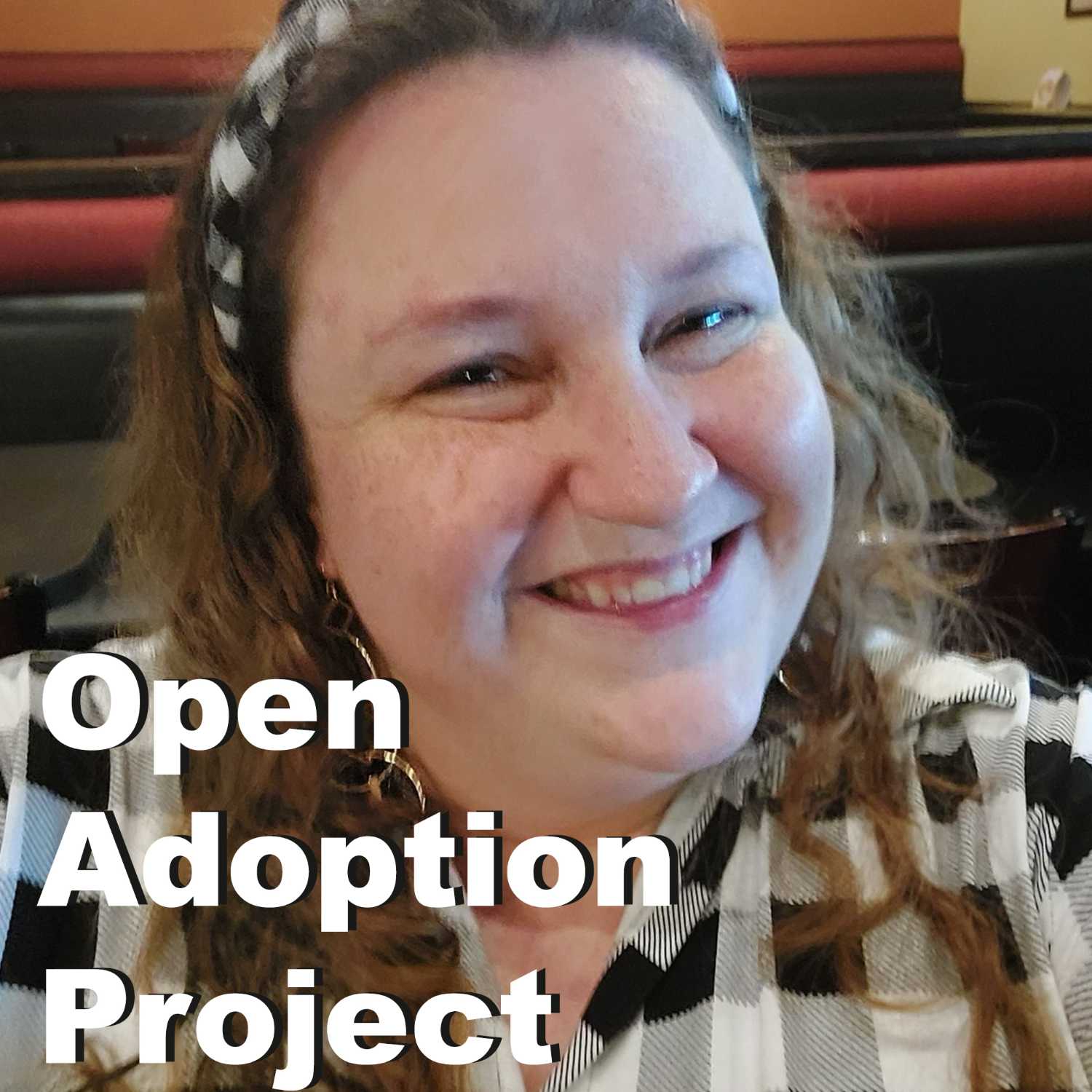 Open Adoption Project