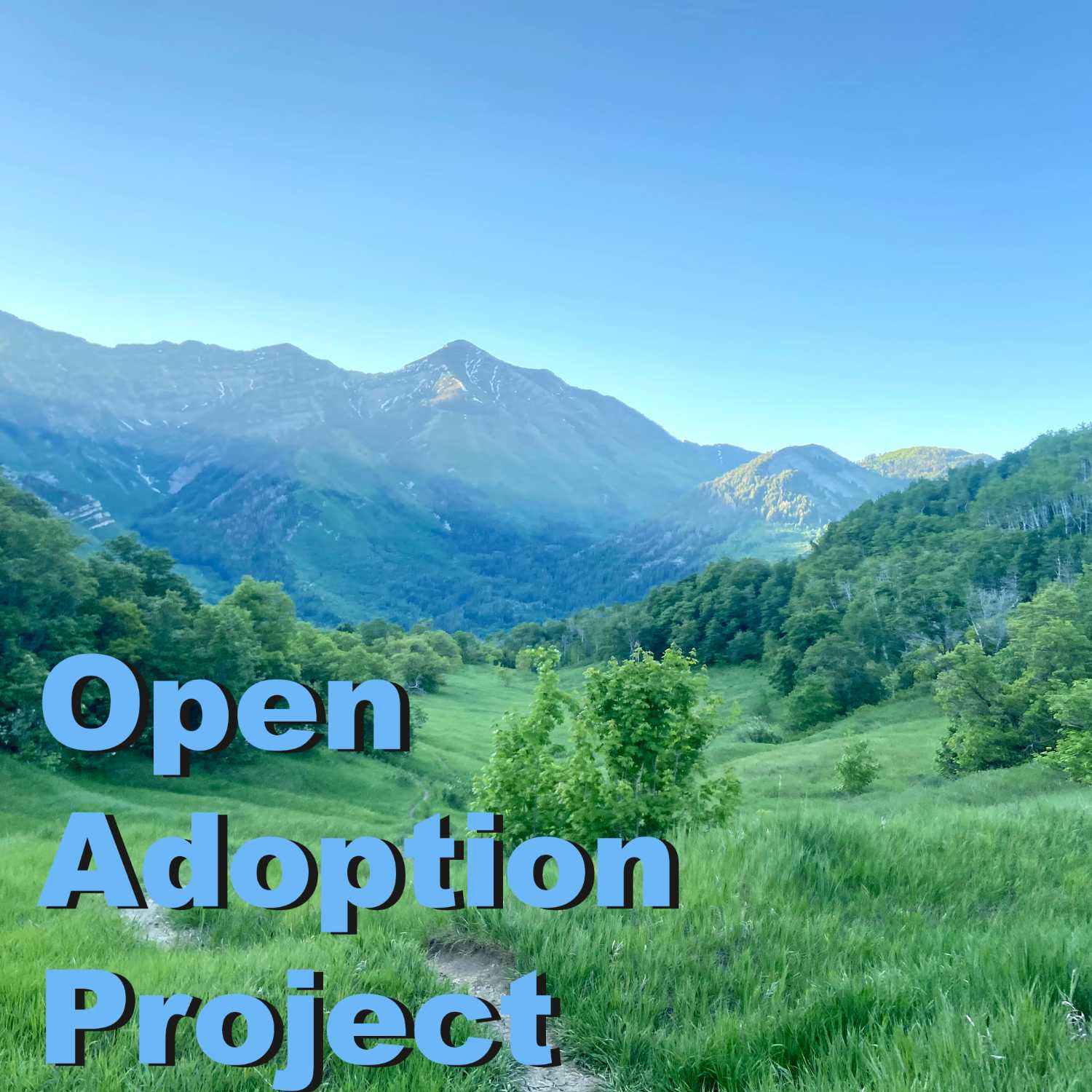 Open Adoption Project