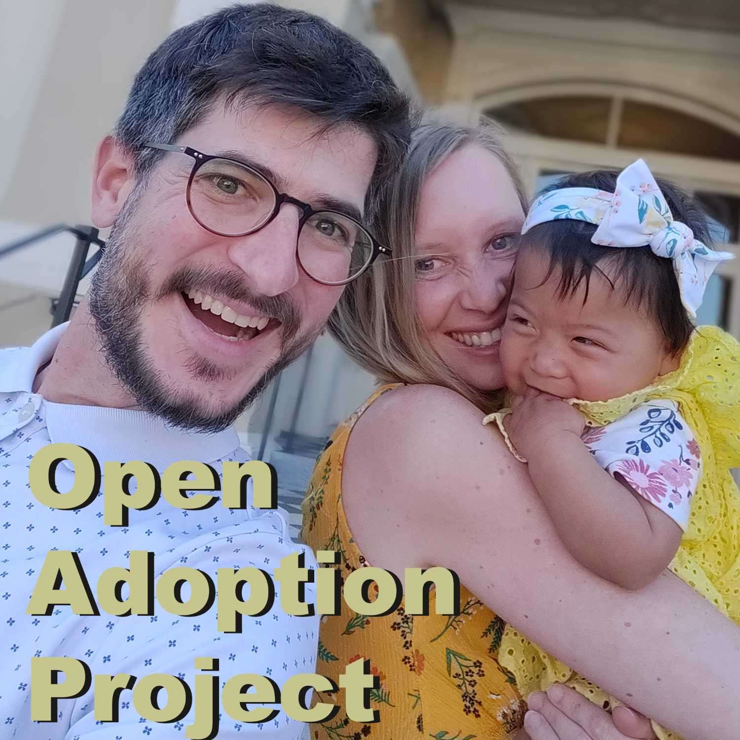 Open Adoption Project