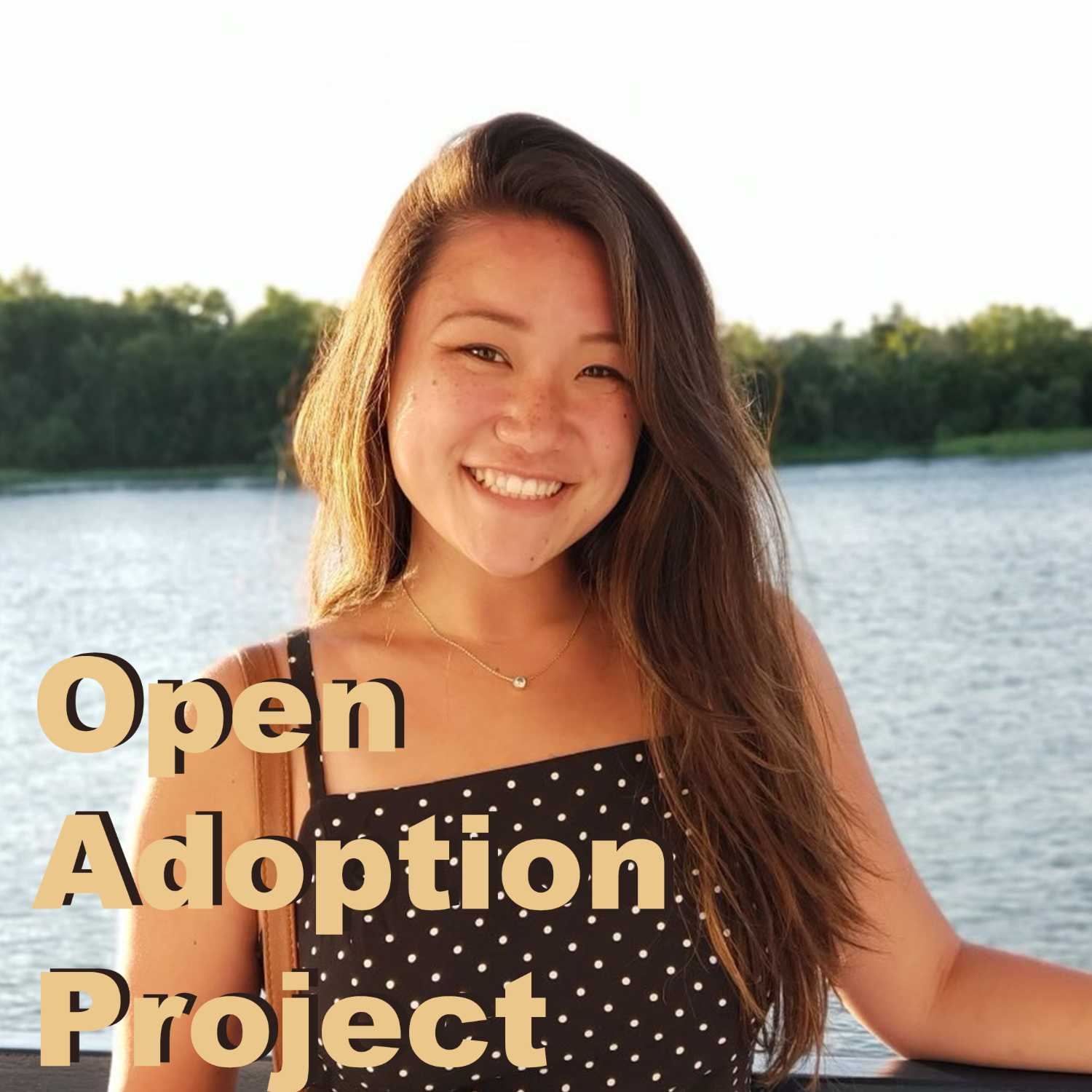 Open Adoption Project