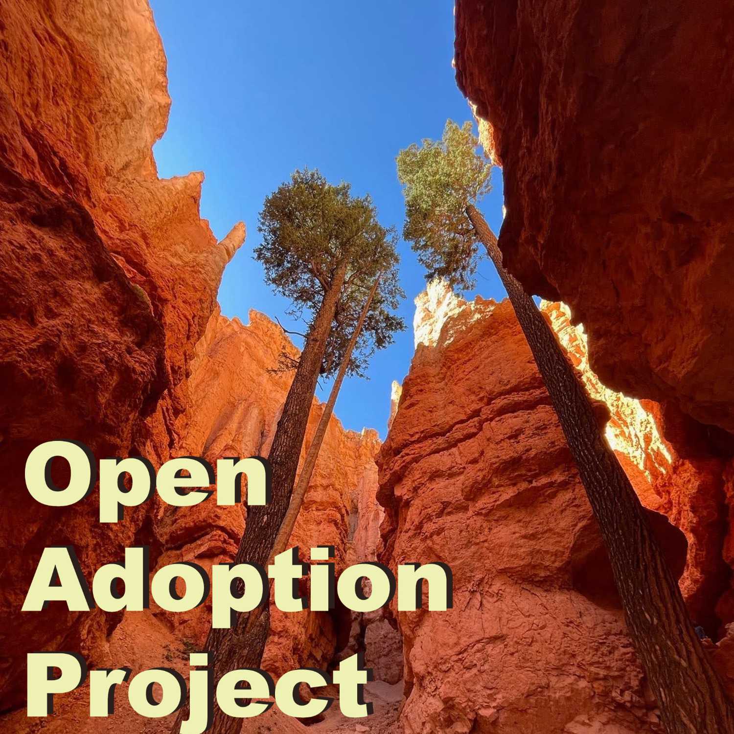 Open Adoption Project