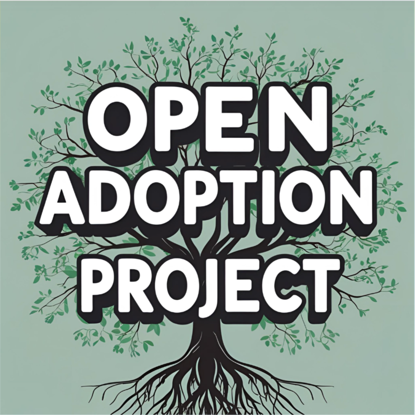 Open Adoption Project