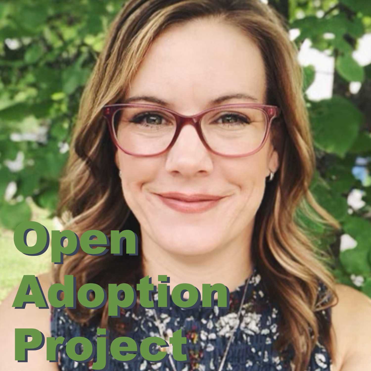 Open Adoption Project