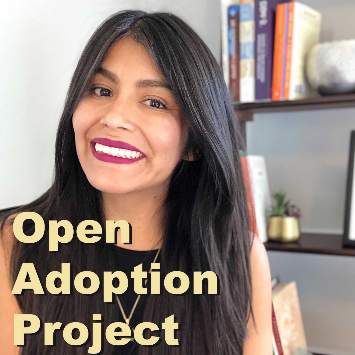 Open Adoption Project