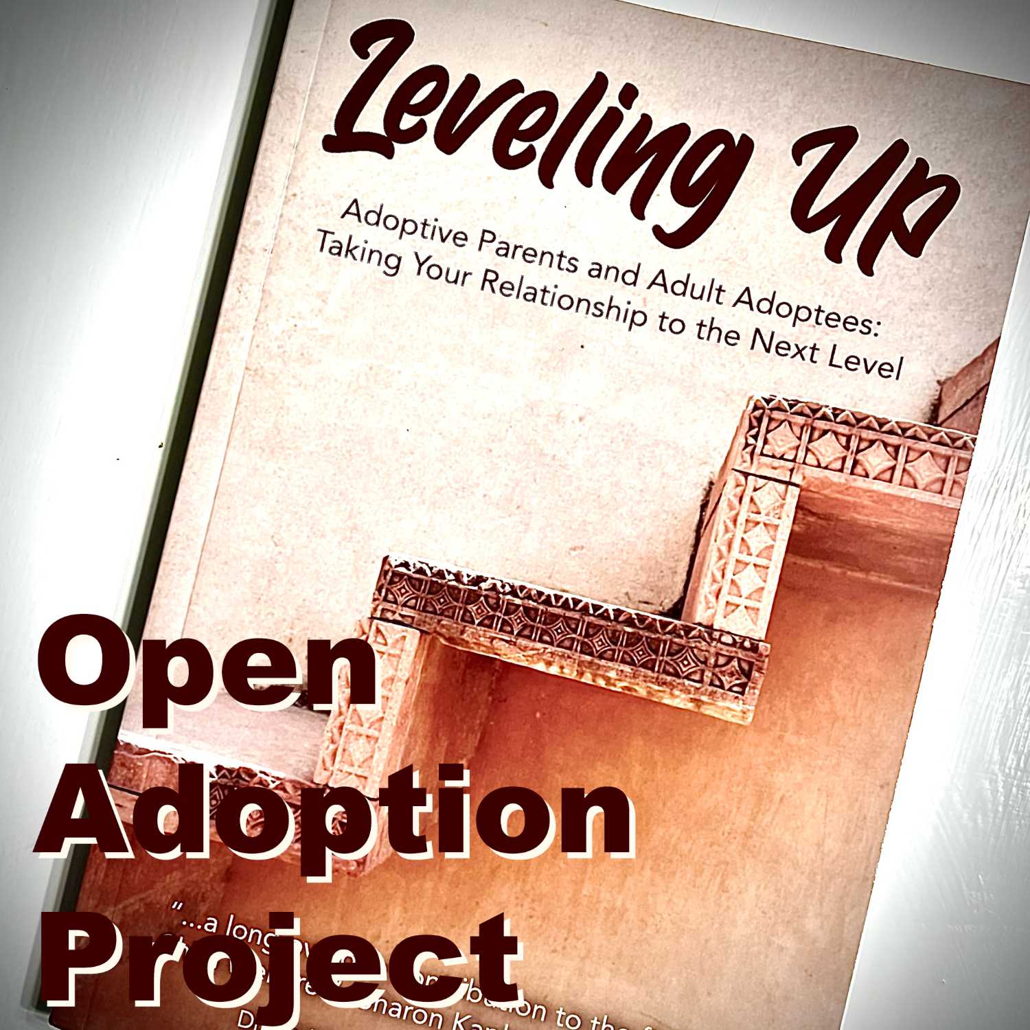 Open Adoption Project