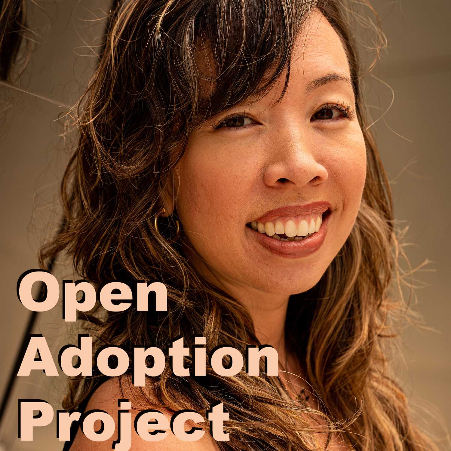 Open Adoption Project