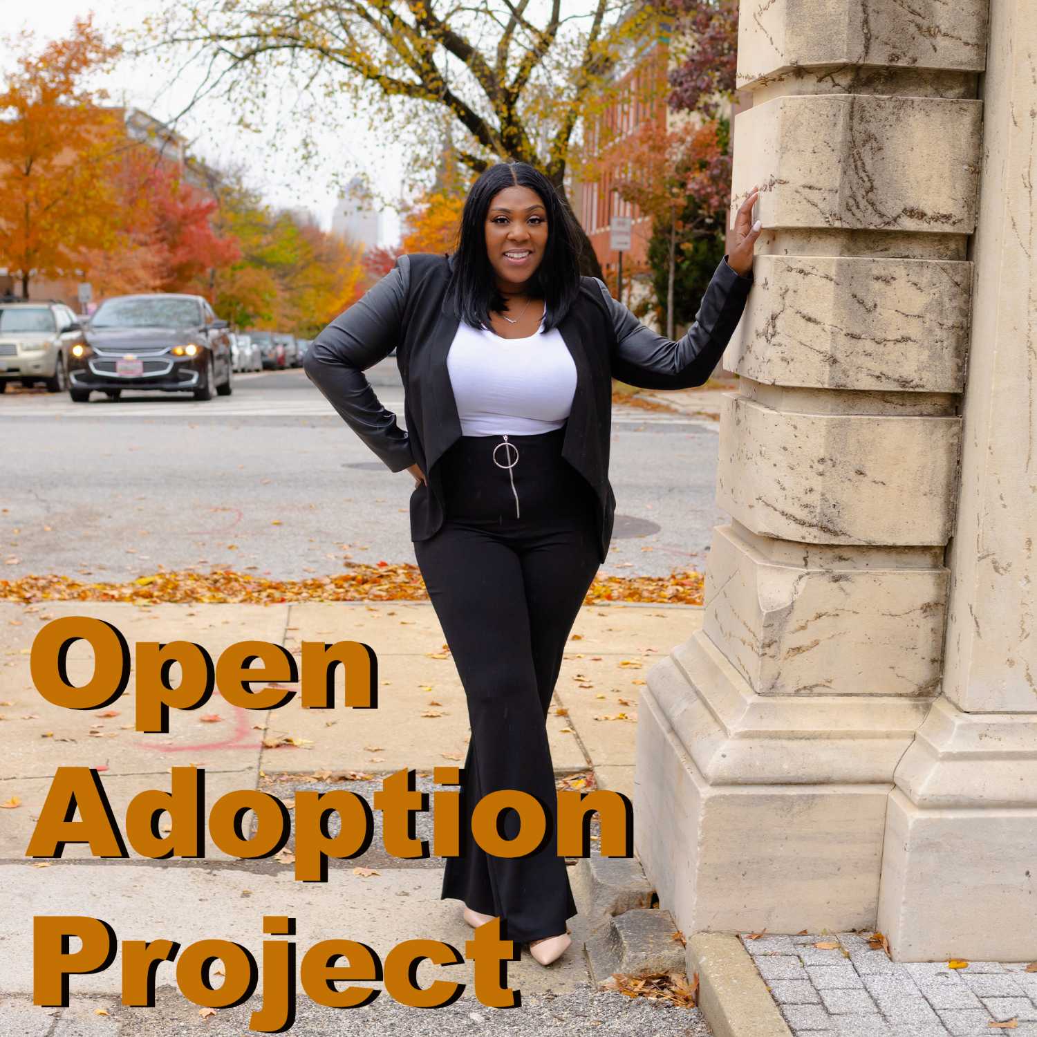 Open Adoption Project