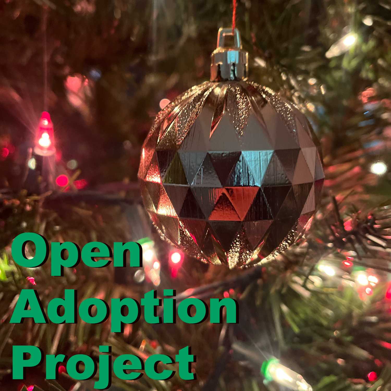 Open Adoption Project