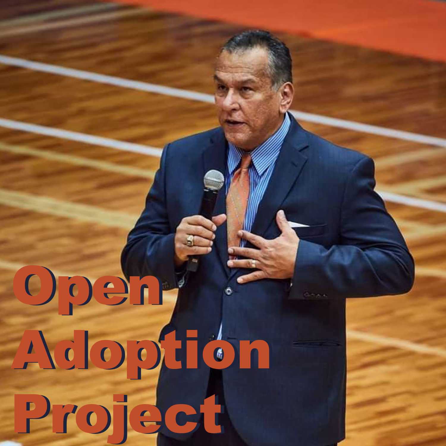 Open Adoption Project