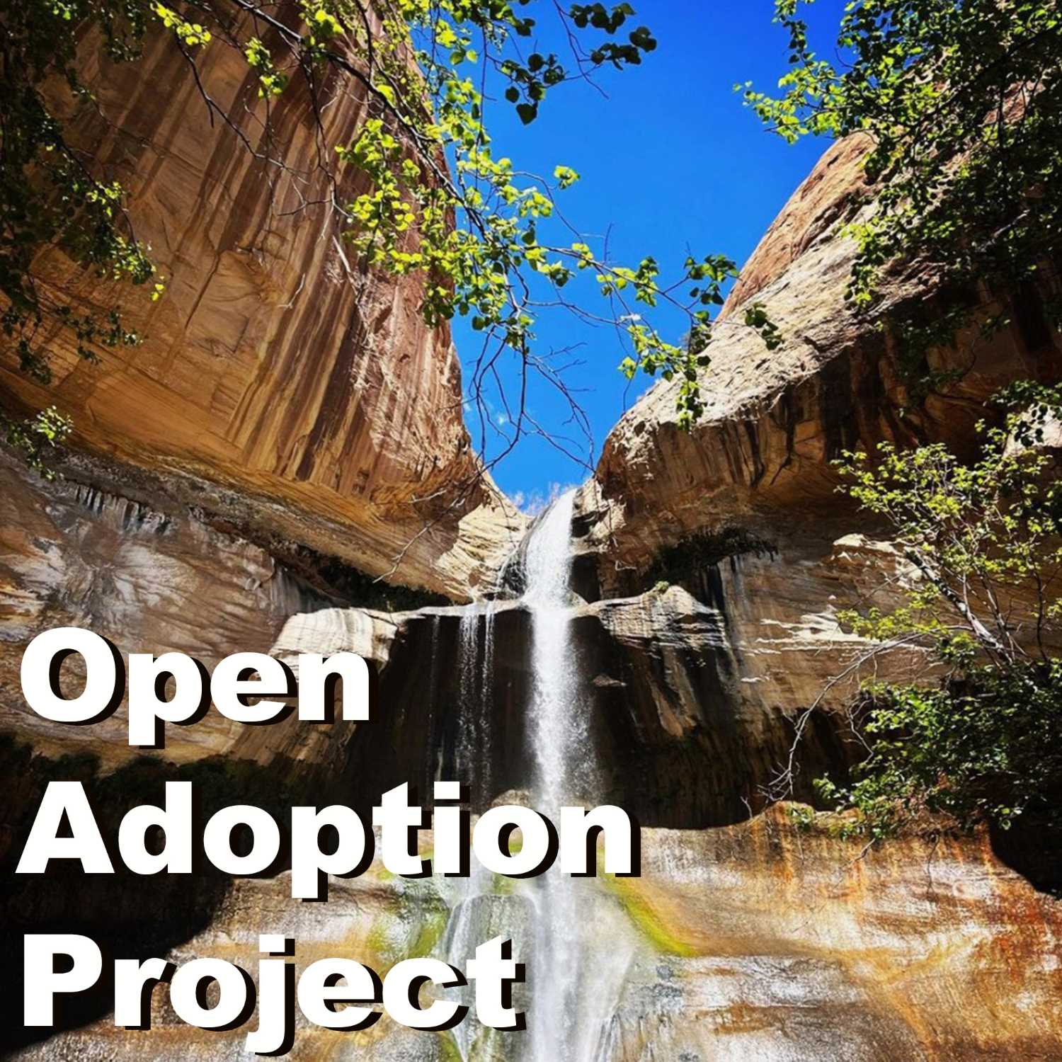 Open Adoption Project
