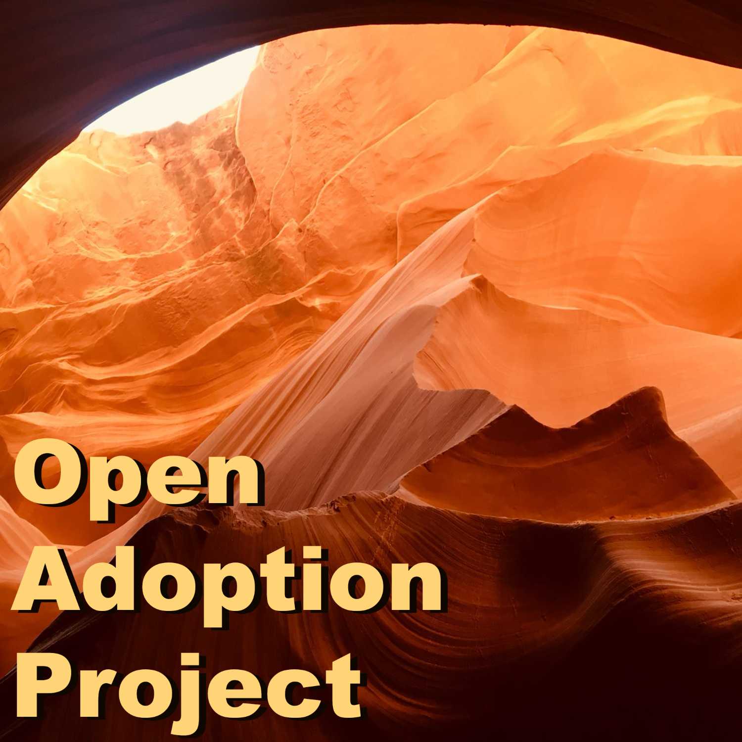 Open Adoption Project