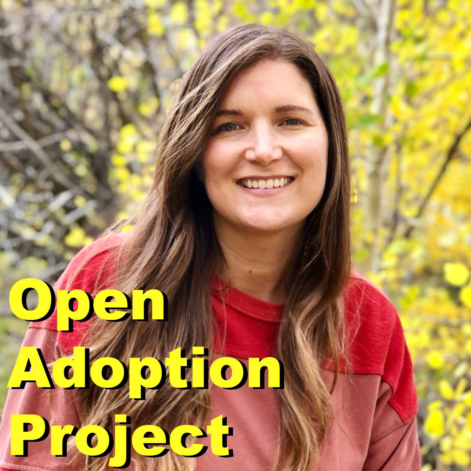 Open Adoption Project