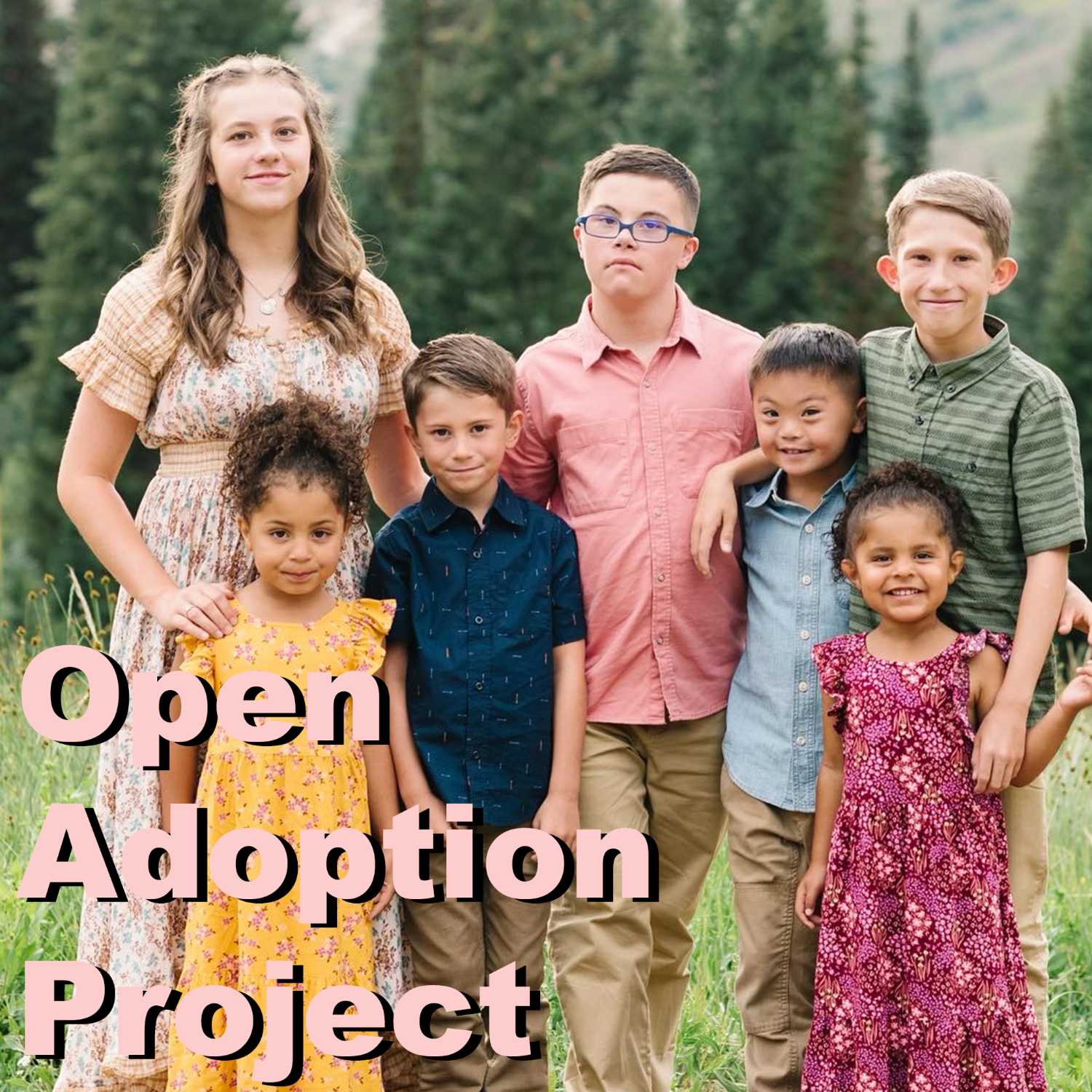 Open Adoption Project