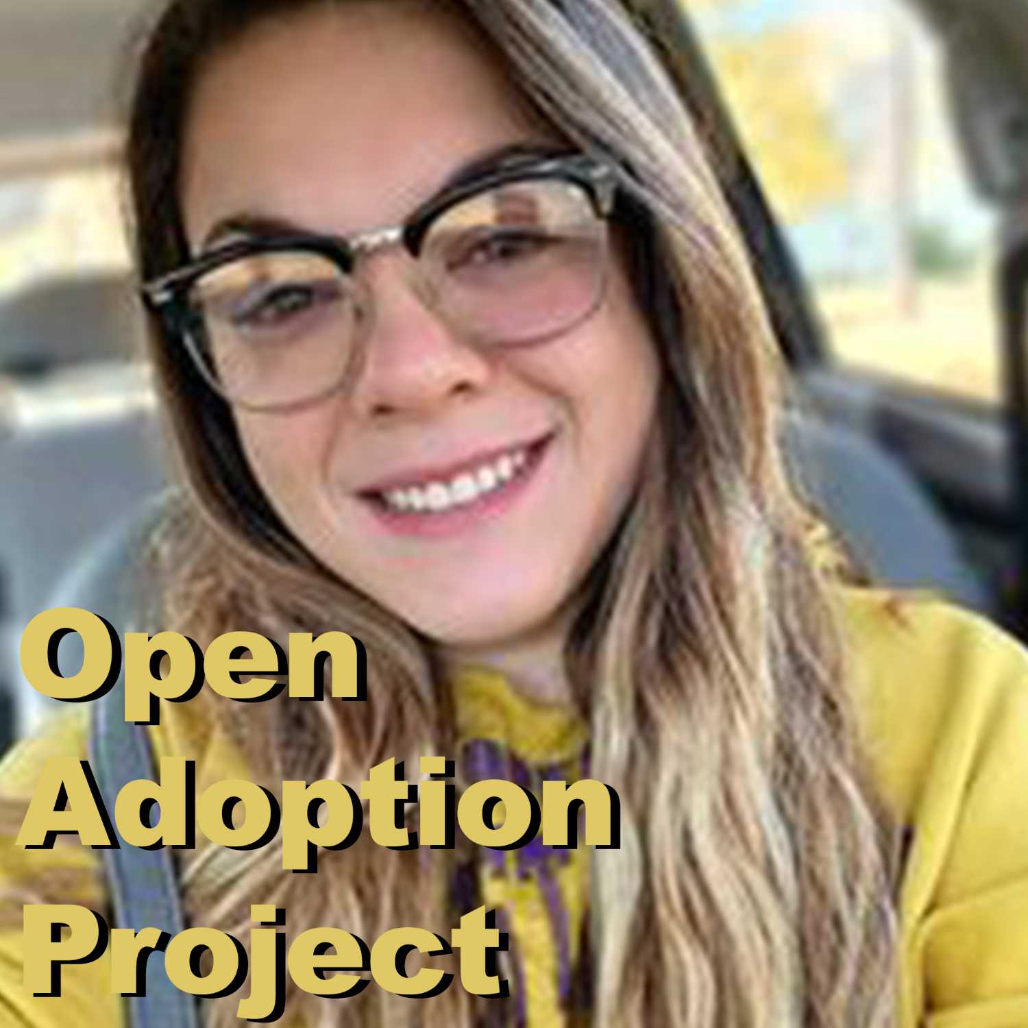 Open Adoption Project