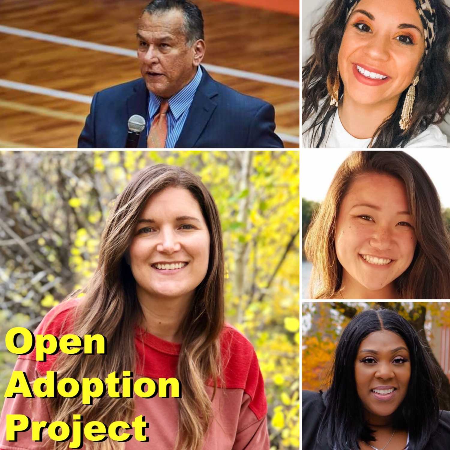 Open Adoption Project