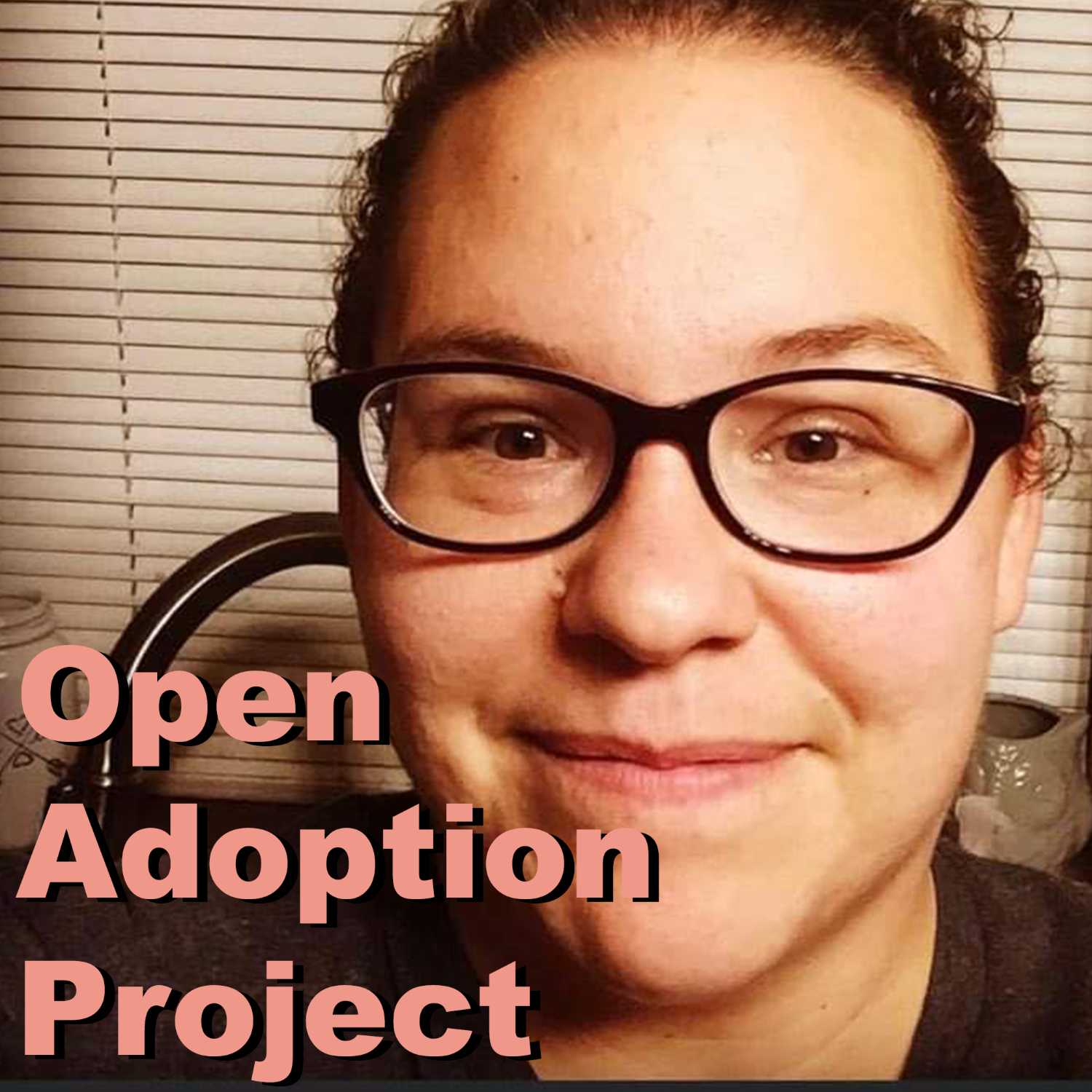 Open Adoption Project