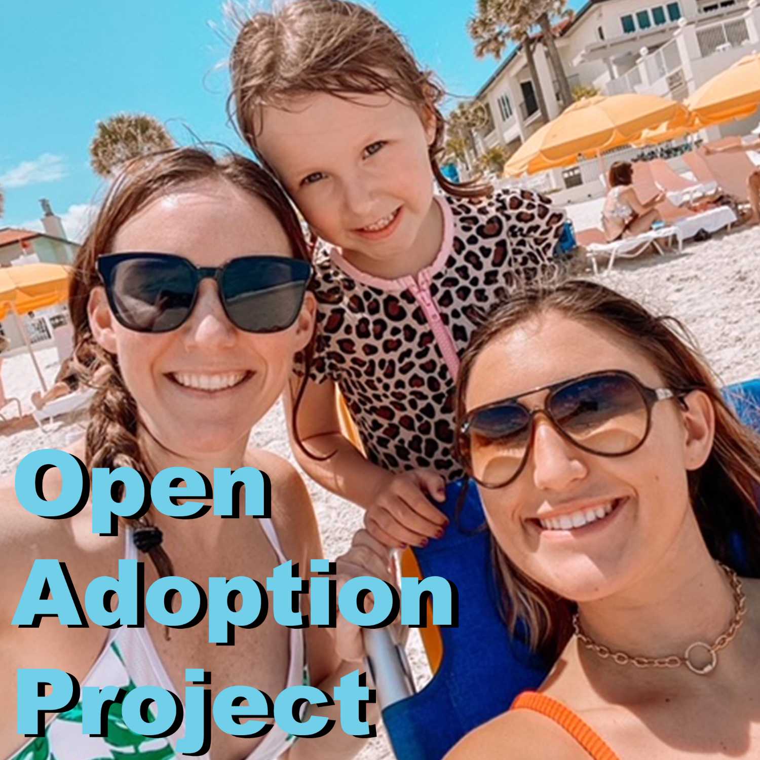 Open Adoption Project