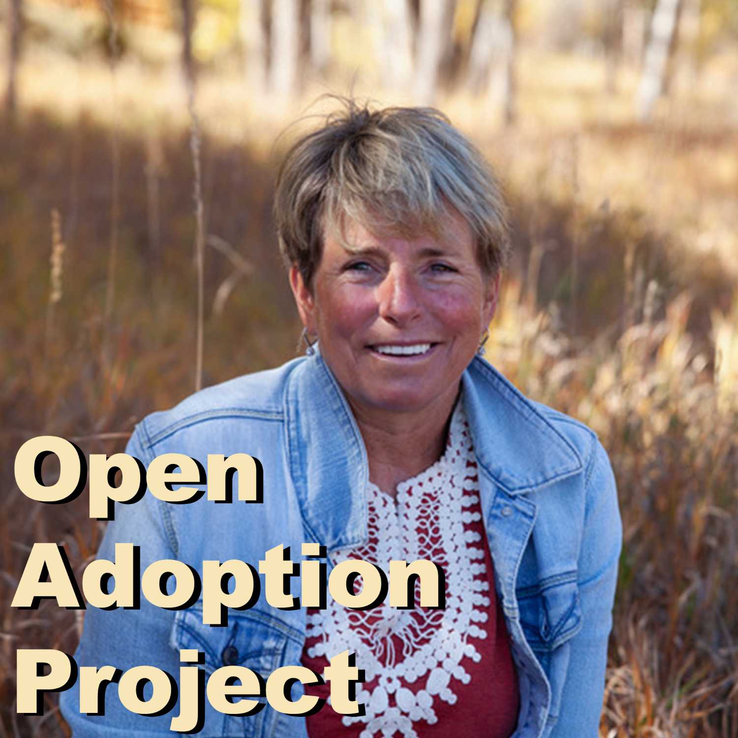 Open Adoption Project