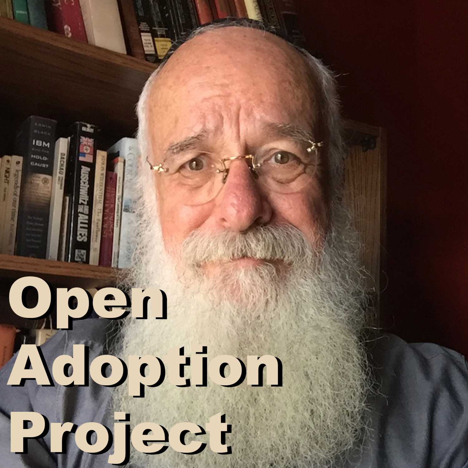 Open Adoption Project