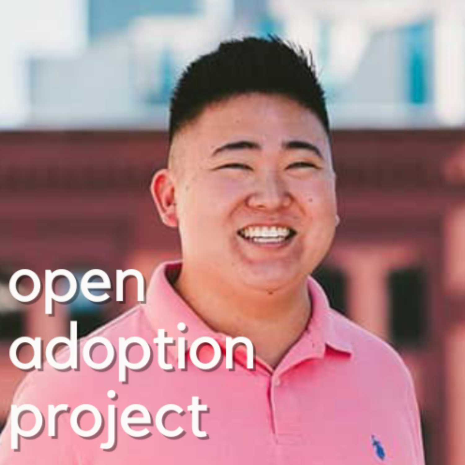 Open Adoption Project