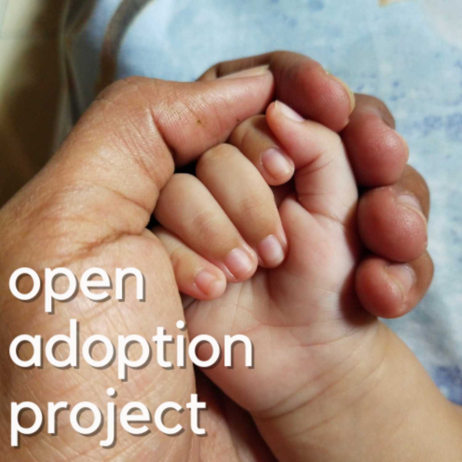 Open Adoption Project