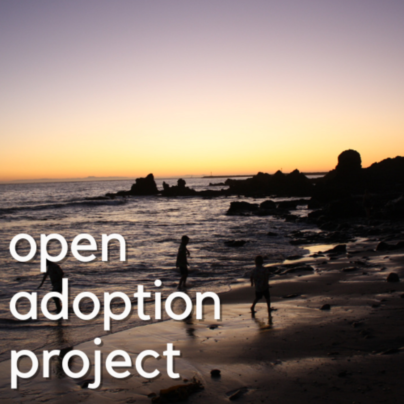 Open Adoption Project