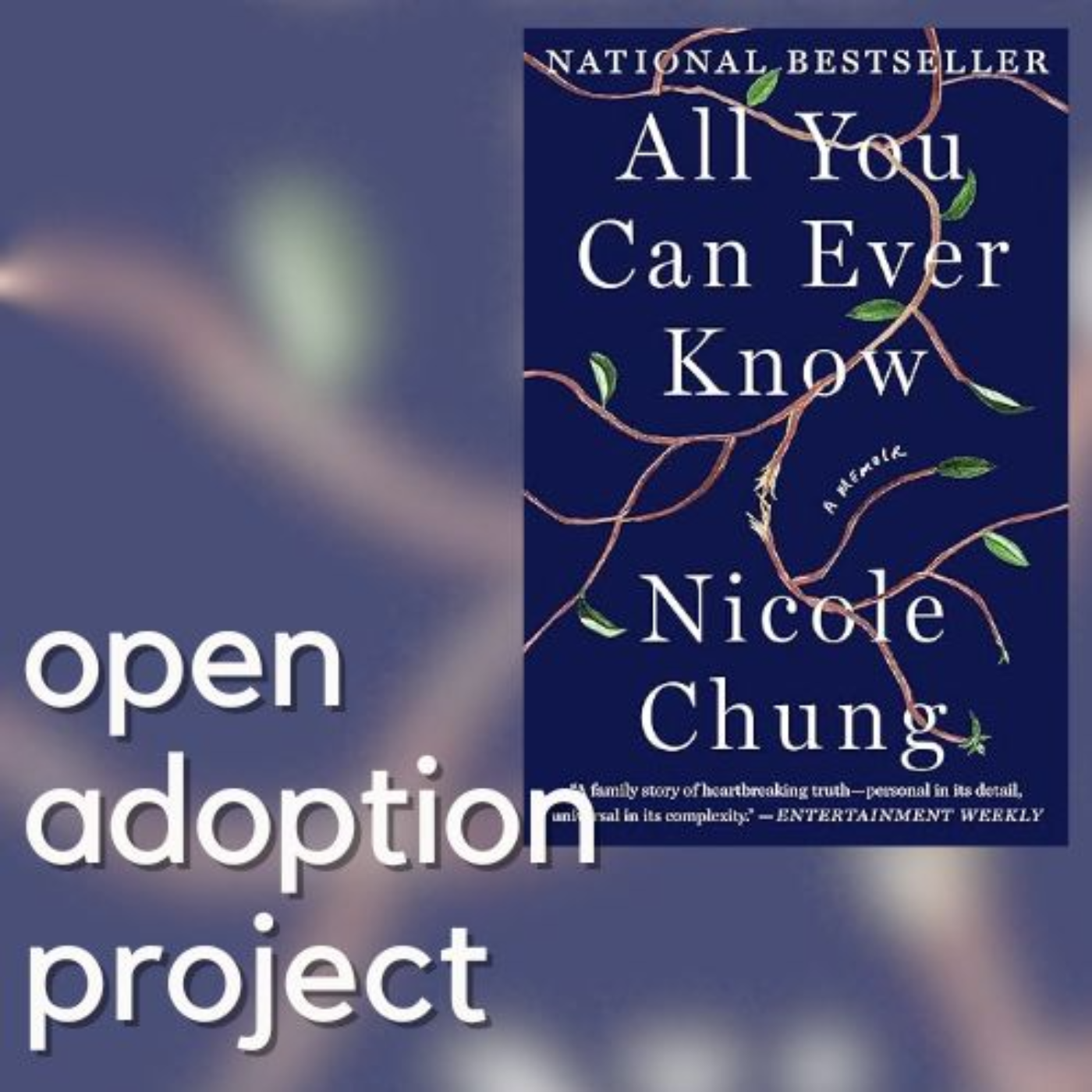 Open Adoption Project