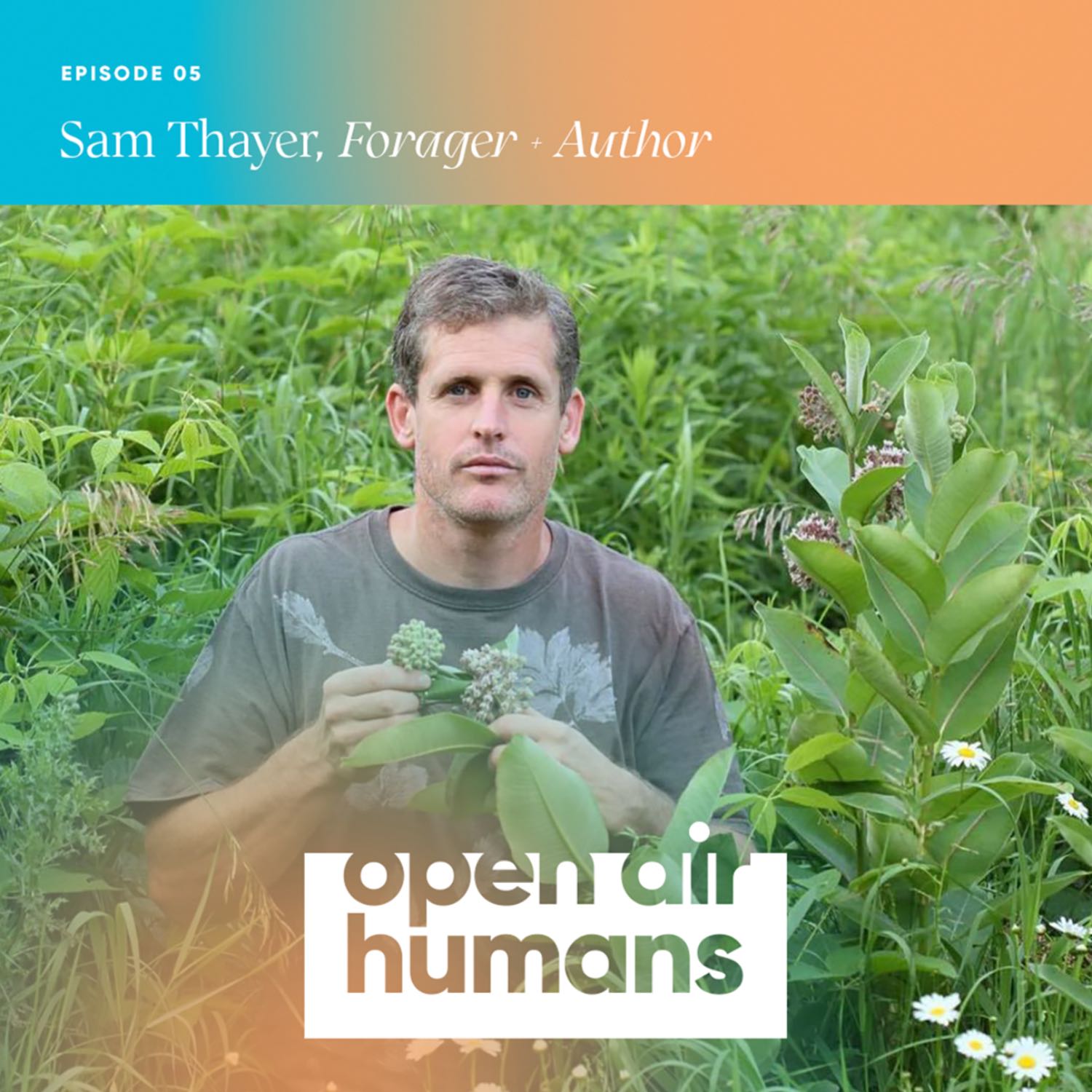 5: Forager Sam Thayer on gathering food, small miracles and tending the wild