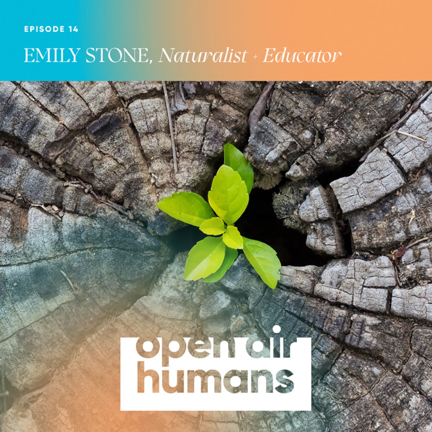 14: A Naturalist's View of Death & Renewal with Emily Stone