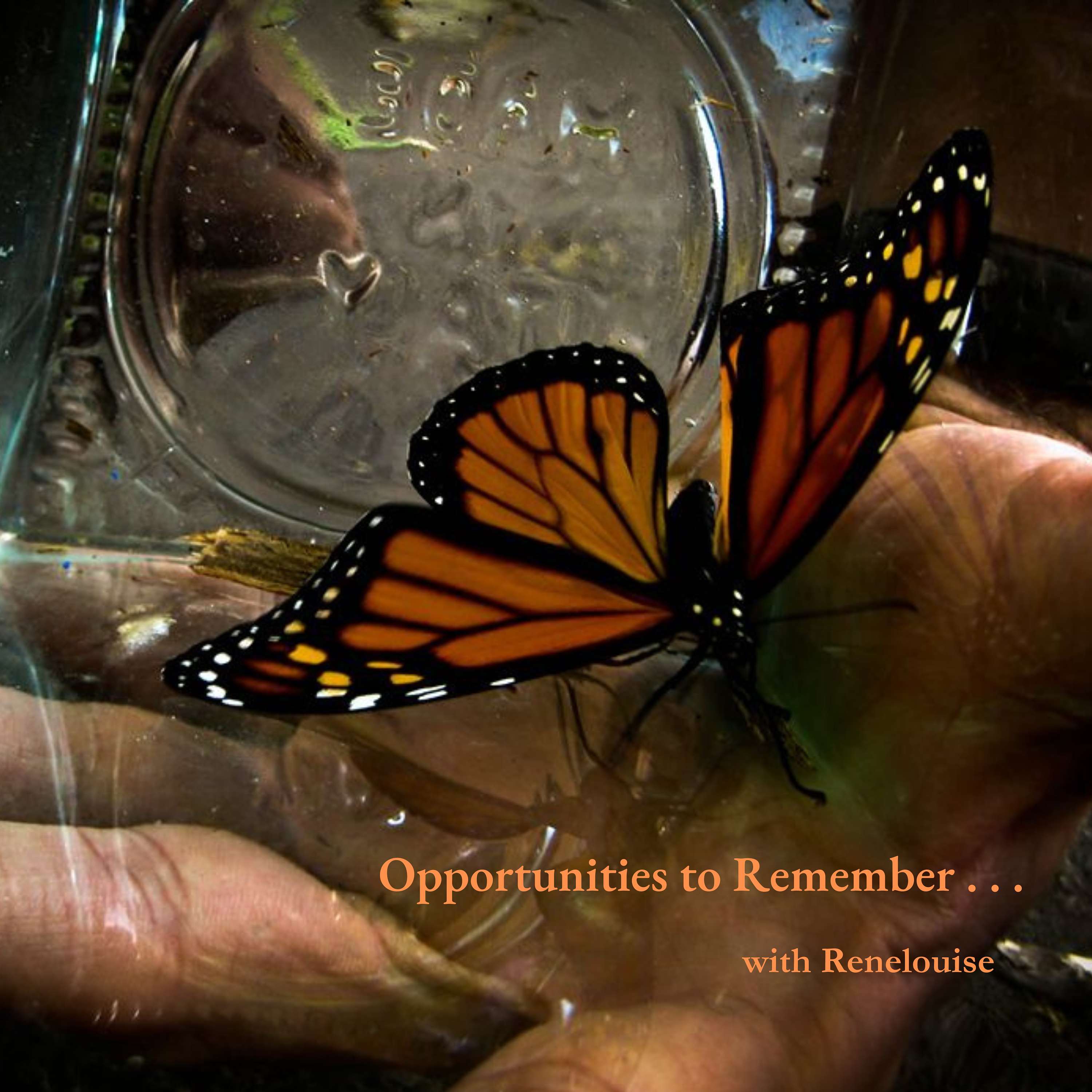 Opportunities to Remember . . .  with Renelouise