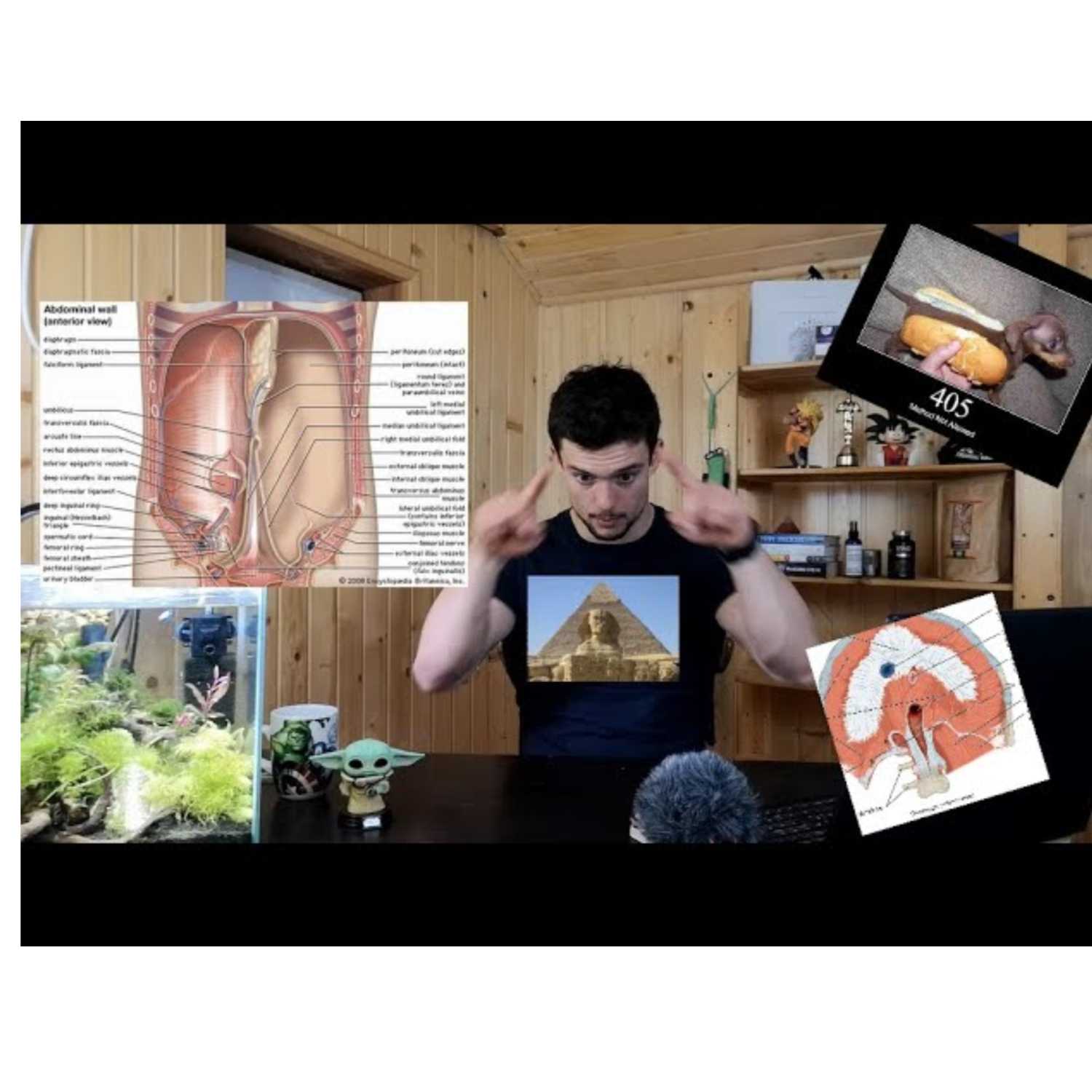 HIATALNA HERNIJA in fizična aktivnost I Se je sploh pametno gibati?