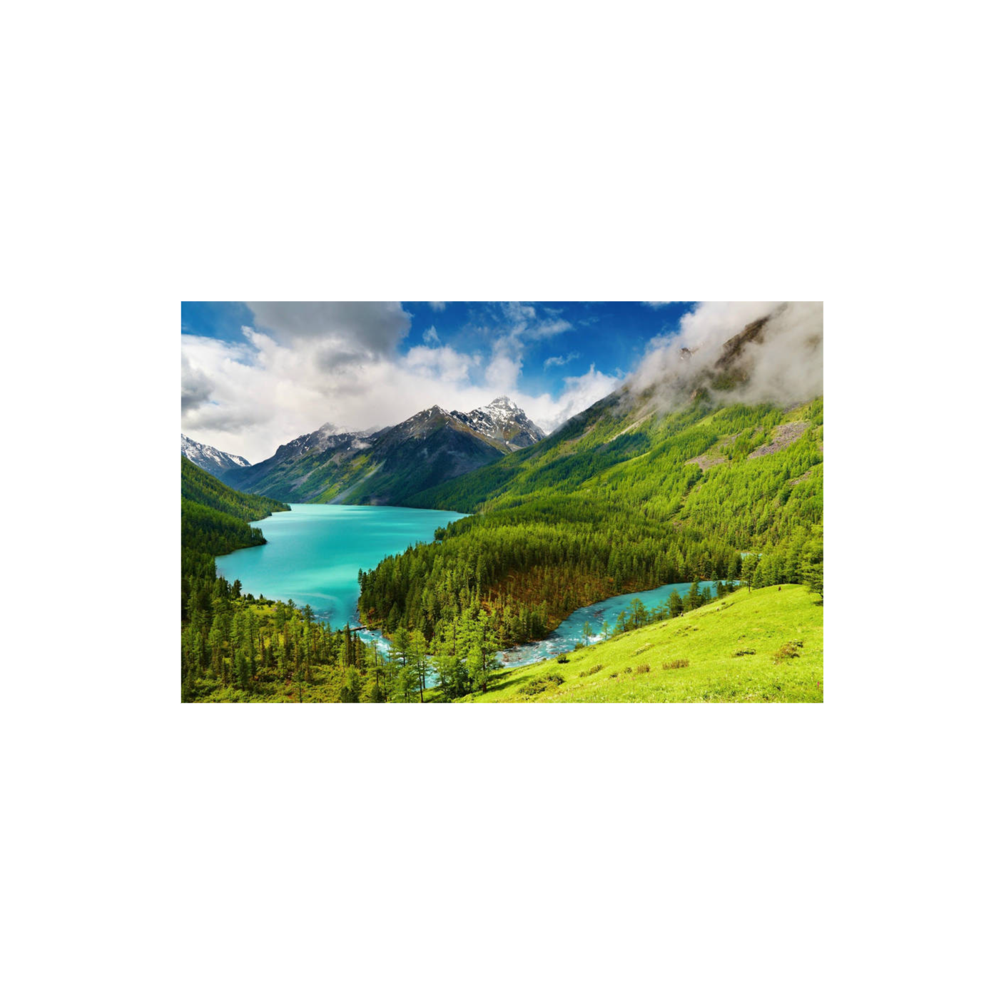 Optimus Prime NH Notif 8