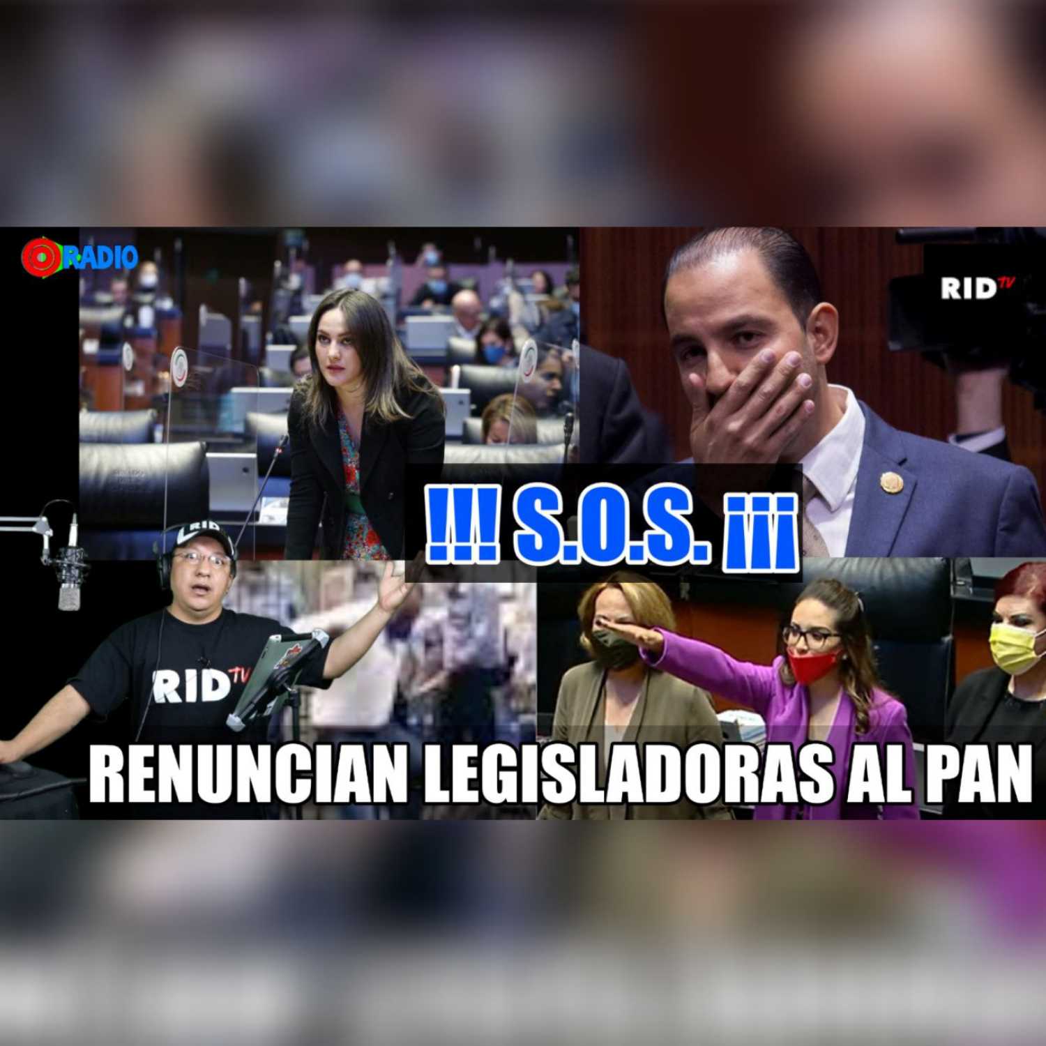 Noticias con el buen humor de: \