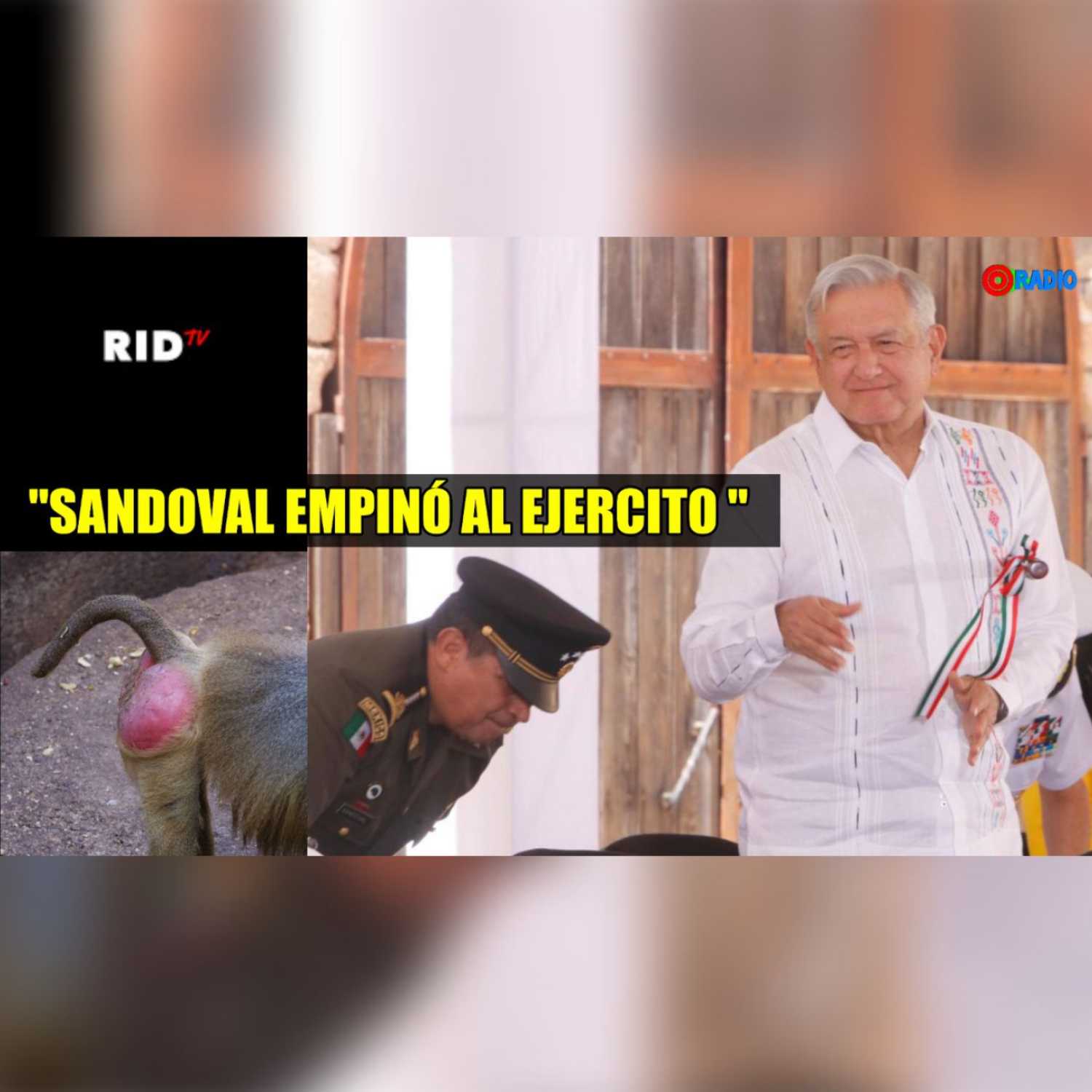 Noticias con el buen humor de: \