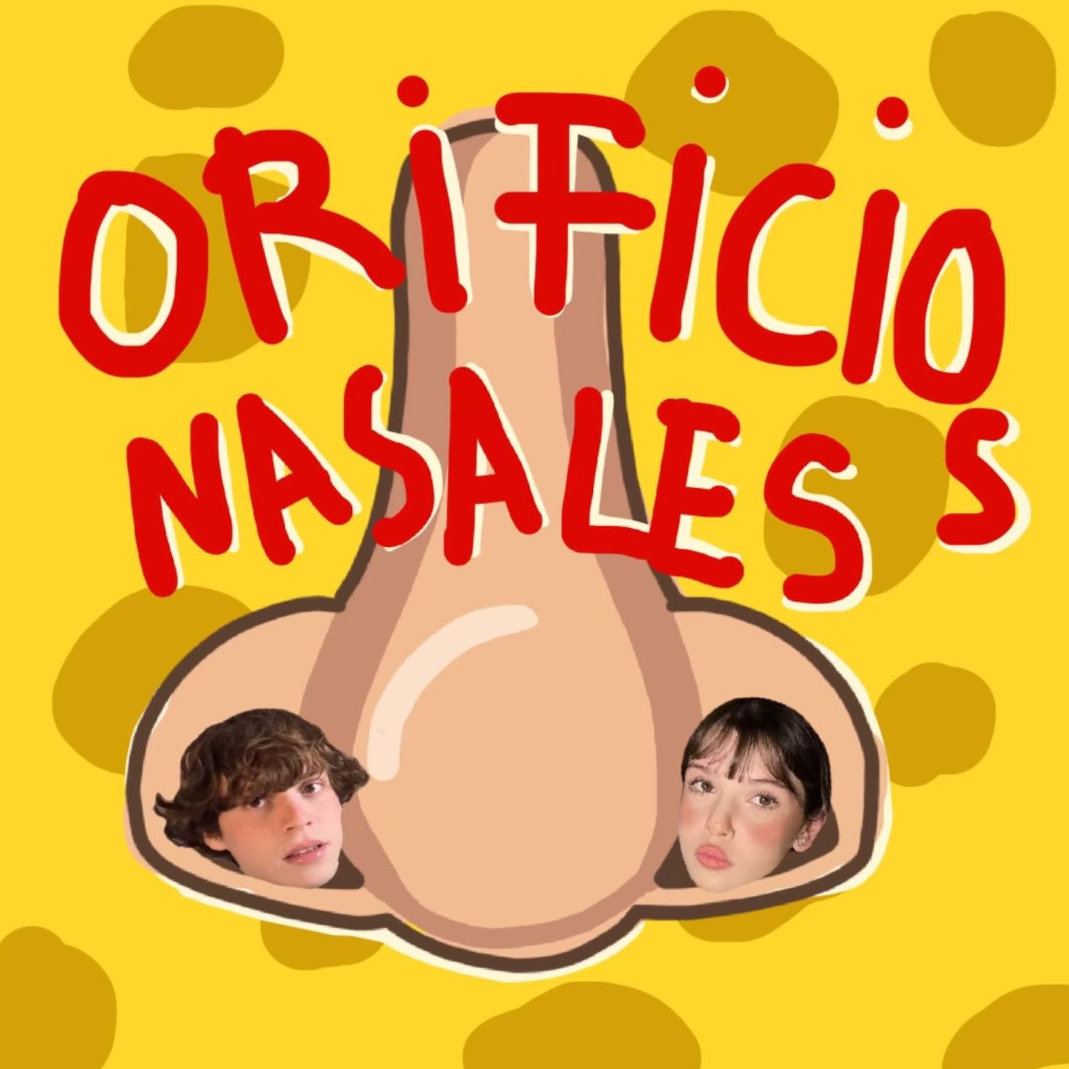 orificios nasales