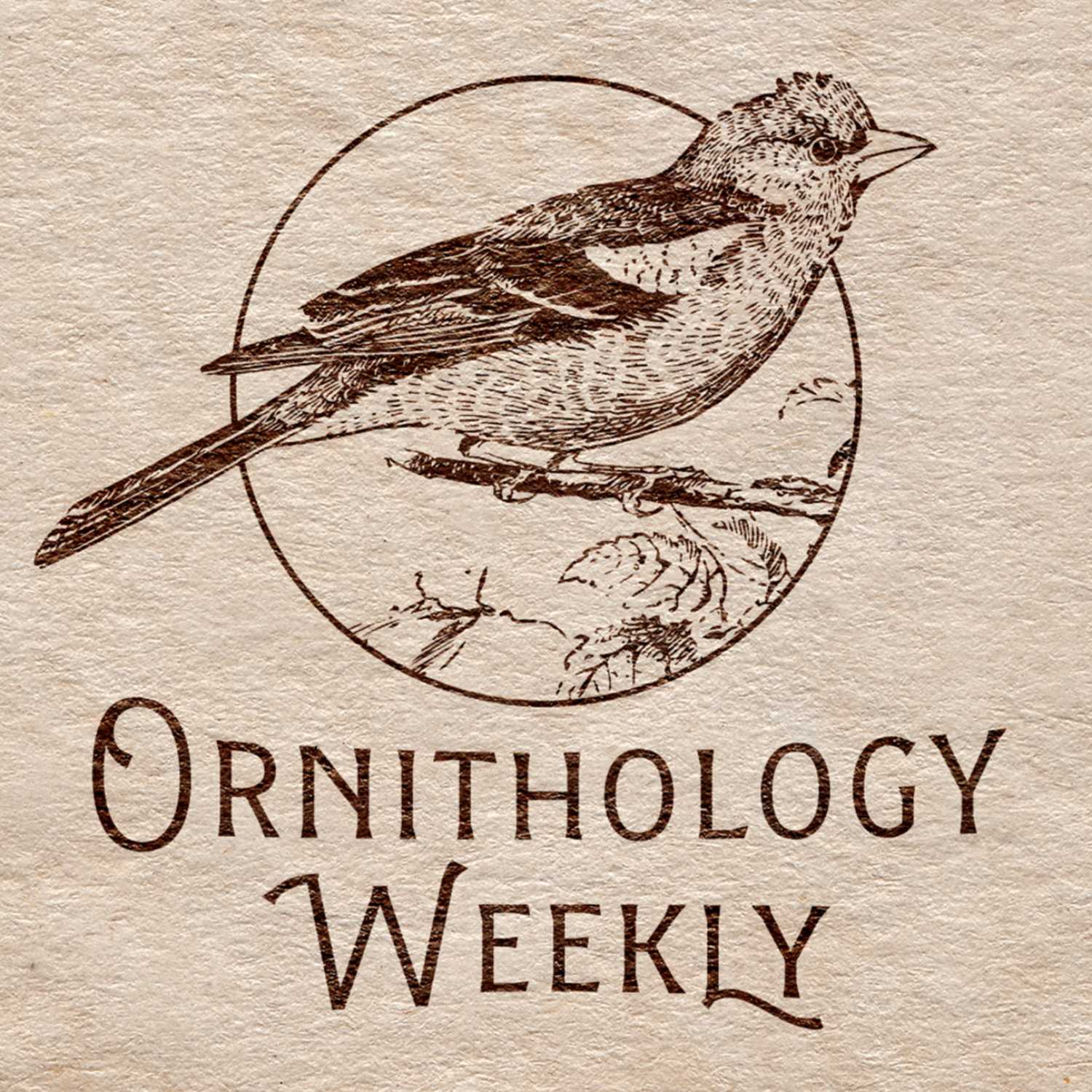 Ornithology Weekly