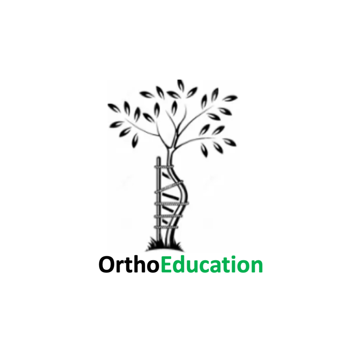 OrthoEducation