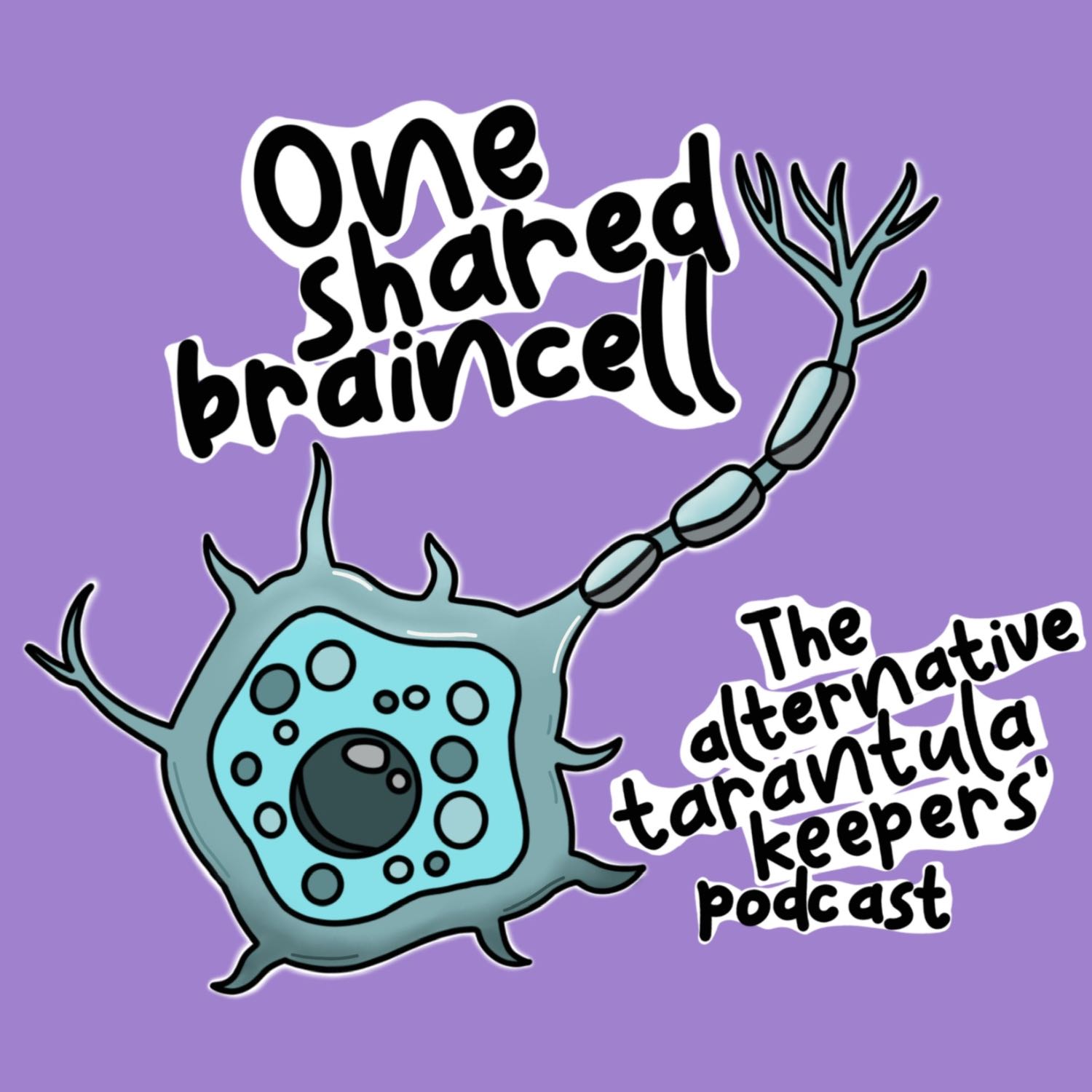 One Shared Braincell