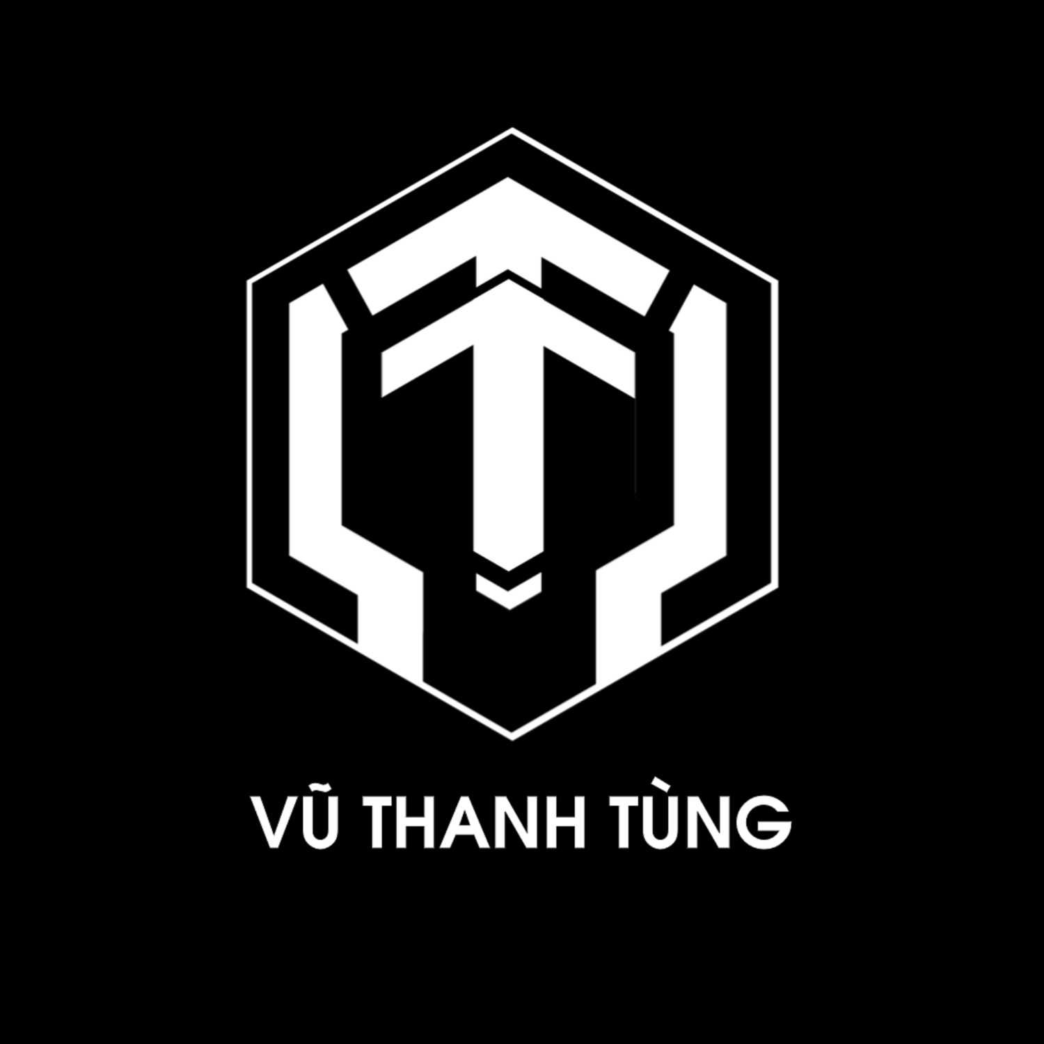 Vũ Thanh Tùng cover art