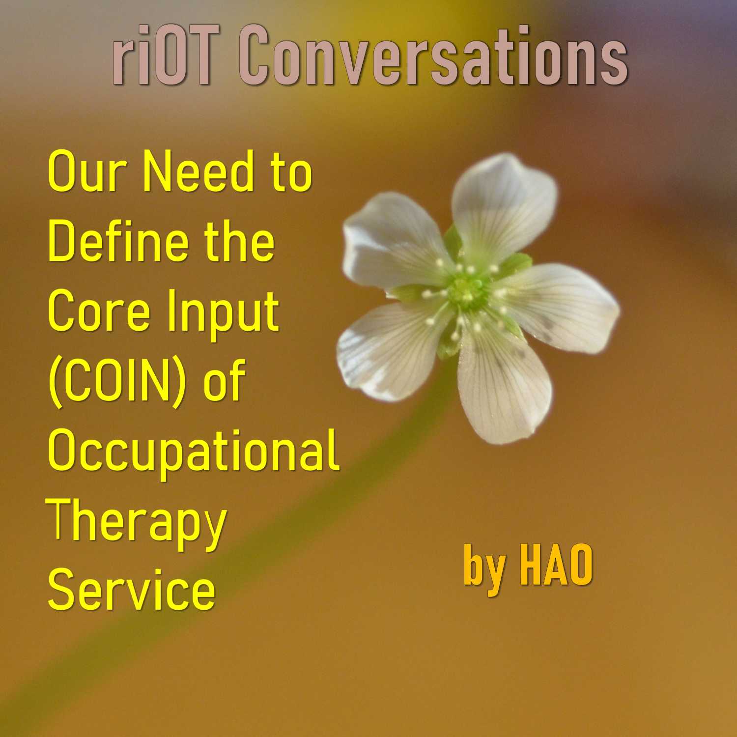 Our Need to Define Occupational Therapy Core Input (COIN) episode artwork