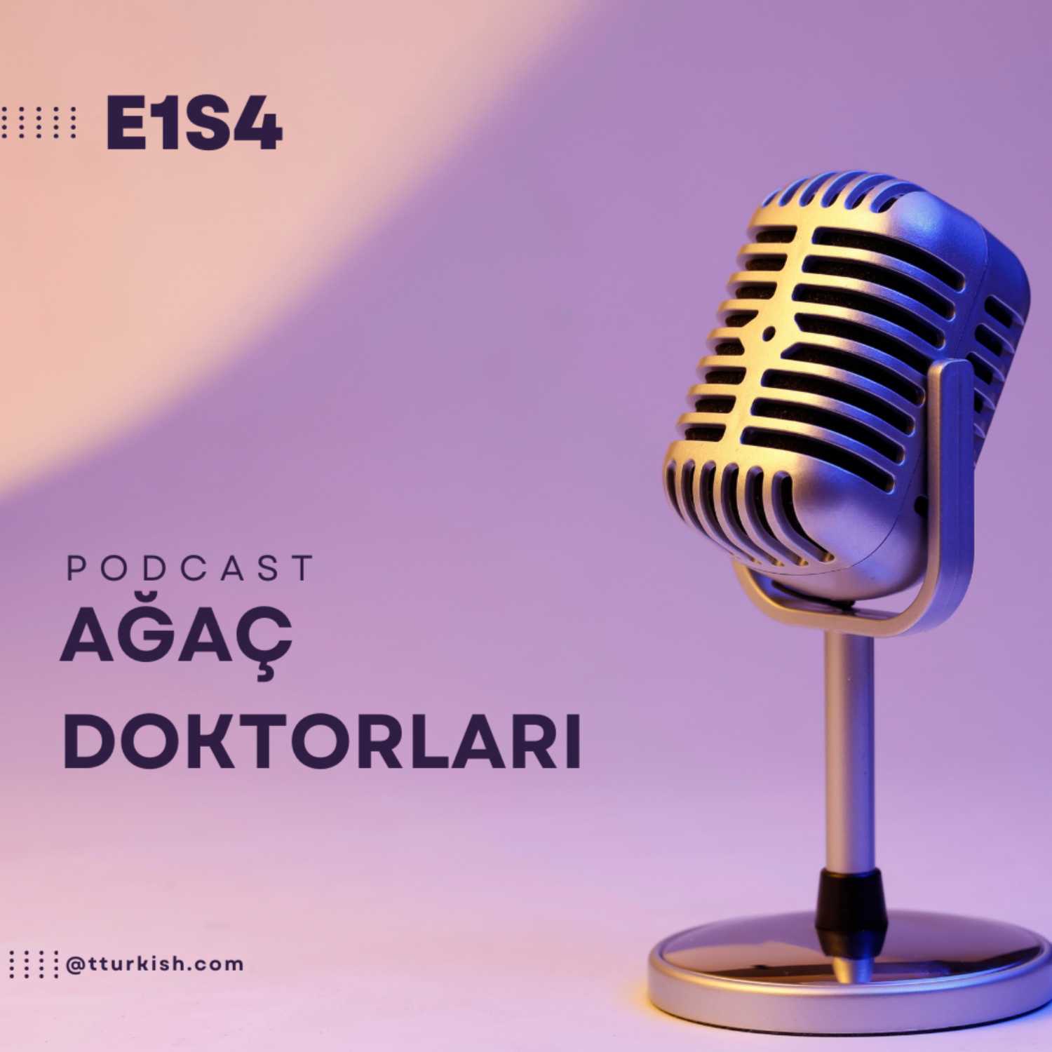 türkcast