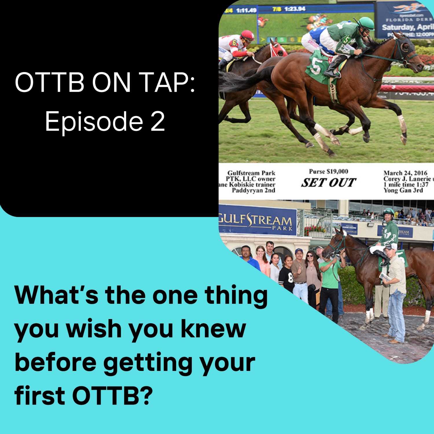 Episode image for Ep.2 -- What's the one thing you wish you knew before buying your first OTTB?