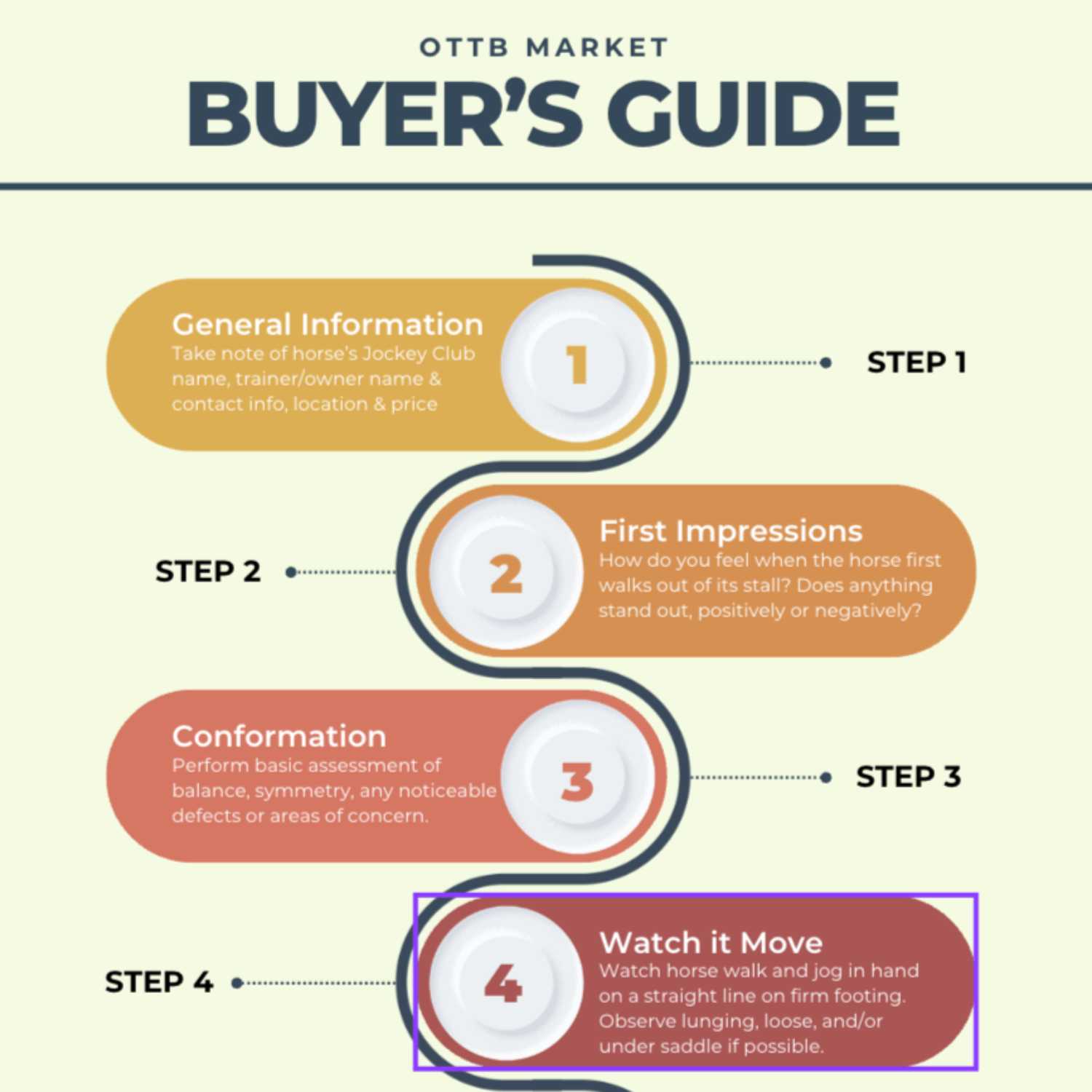 Ep. 3 OTTB Market Buyer's Guide