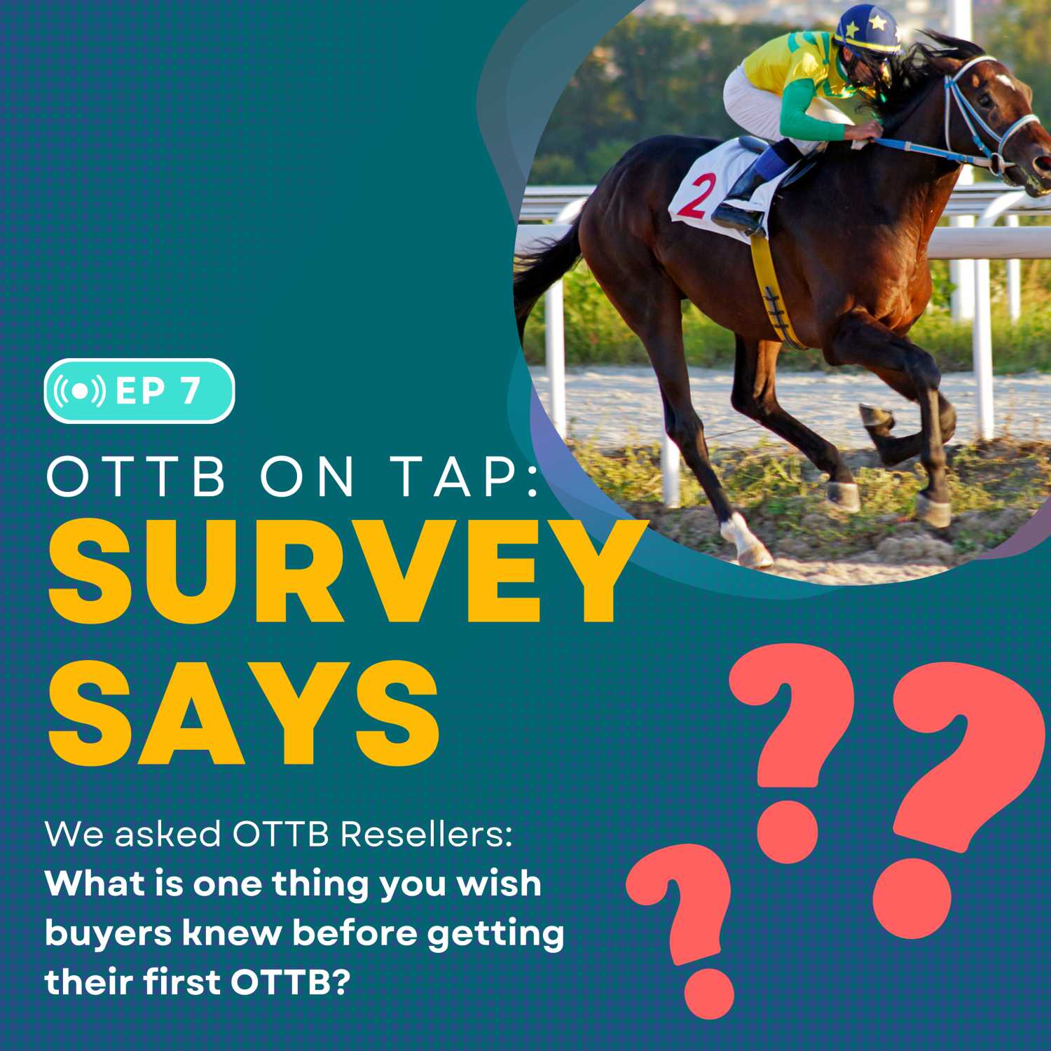 Ep.7 -- What Resellers Wish You Knew About OTTBs